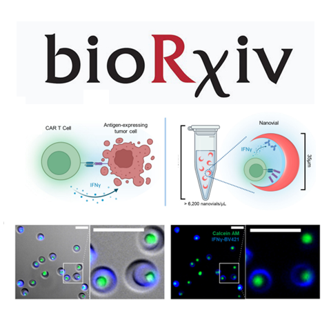 Screening of a pooled library of chimeric antigen receptor T cells based on secretory function