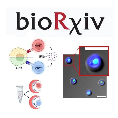 A Nanovial-Based Platform for Functional Discovery of Antigen-Reactive TCRs from Unconventional T Cells
