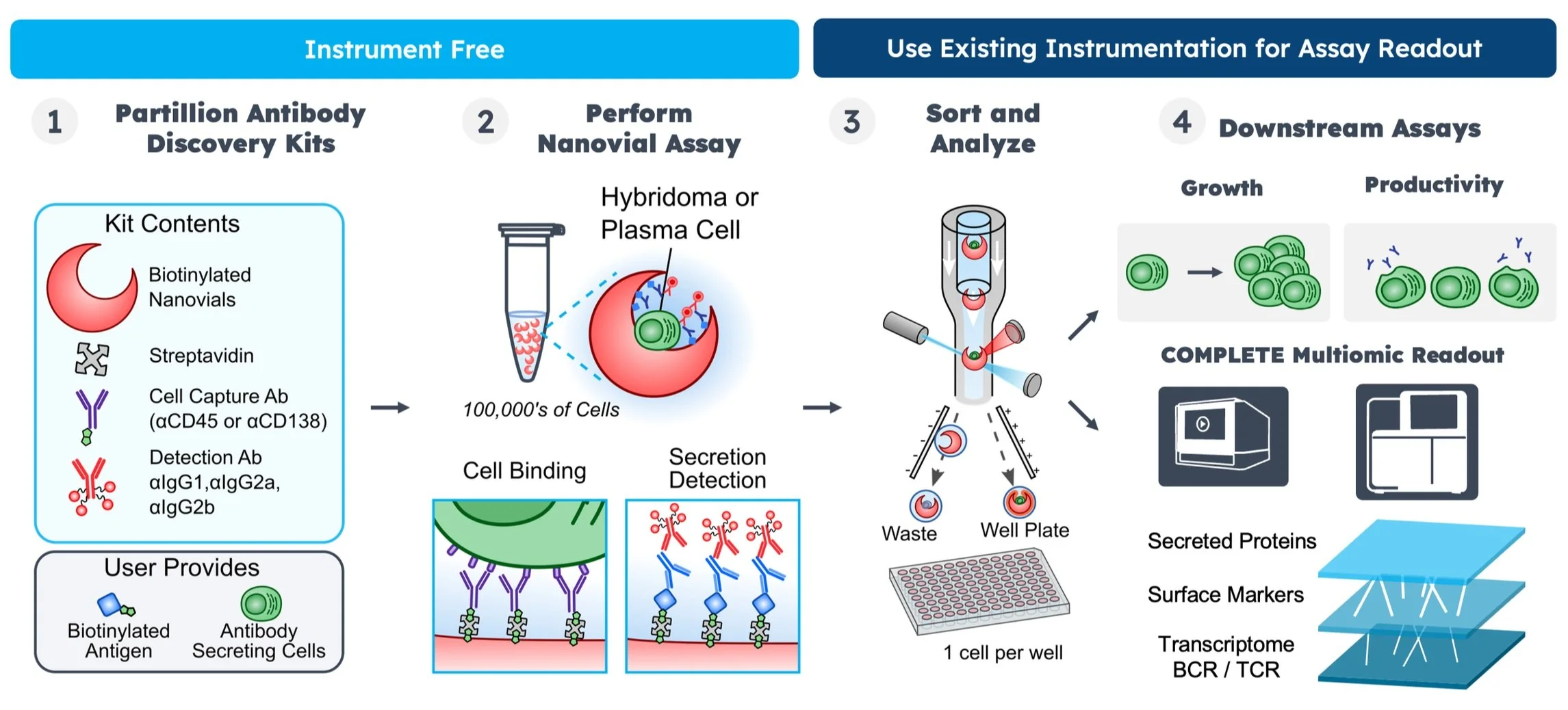 Nanovial antibody discovery workflow