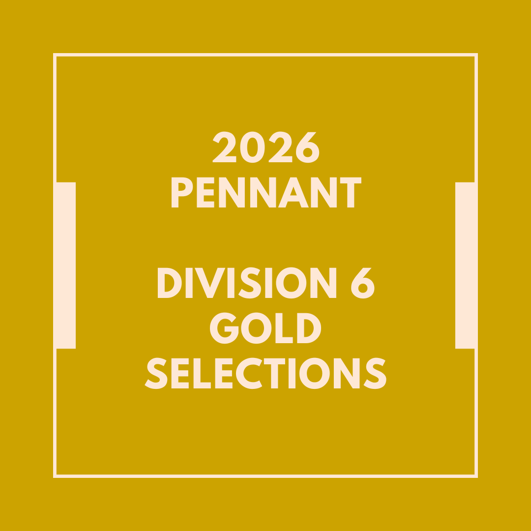 Division 6.png