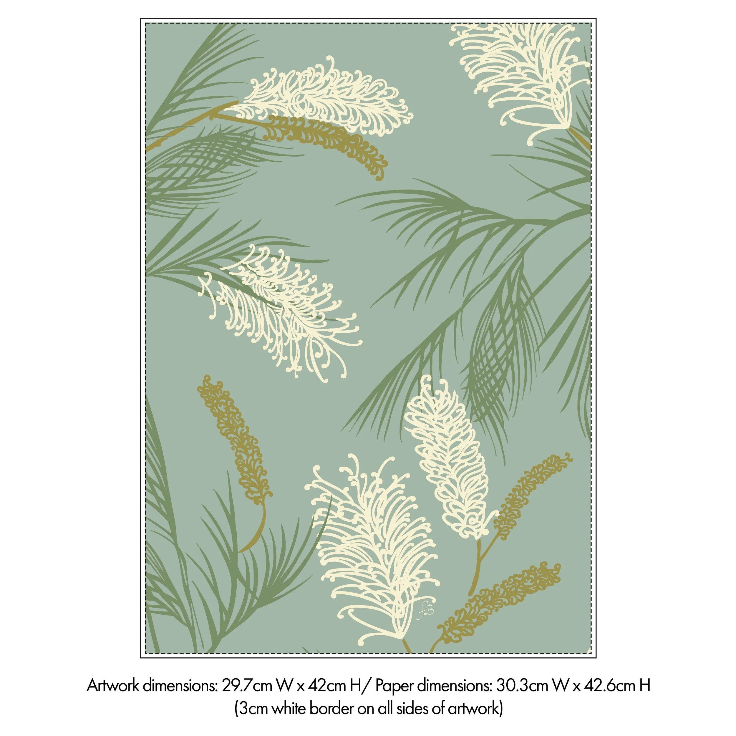 Dims info Grevillea Duckegg blue.jpg (Copy)