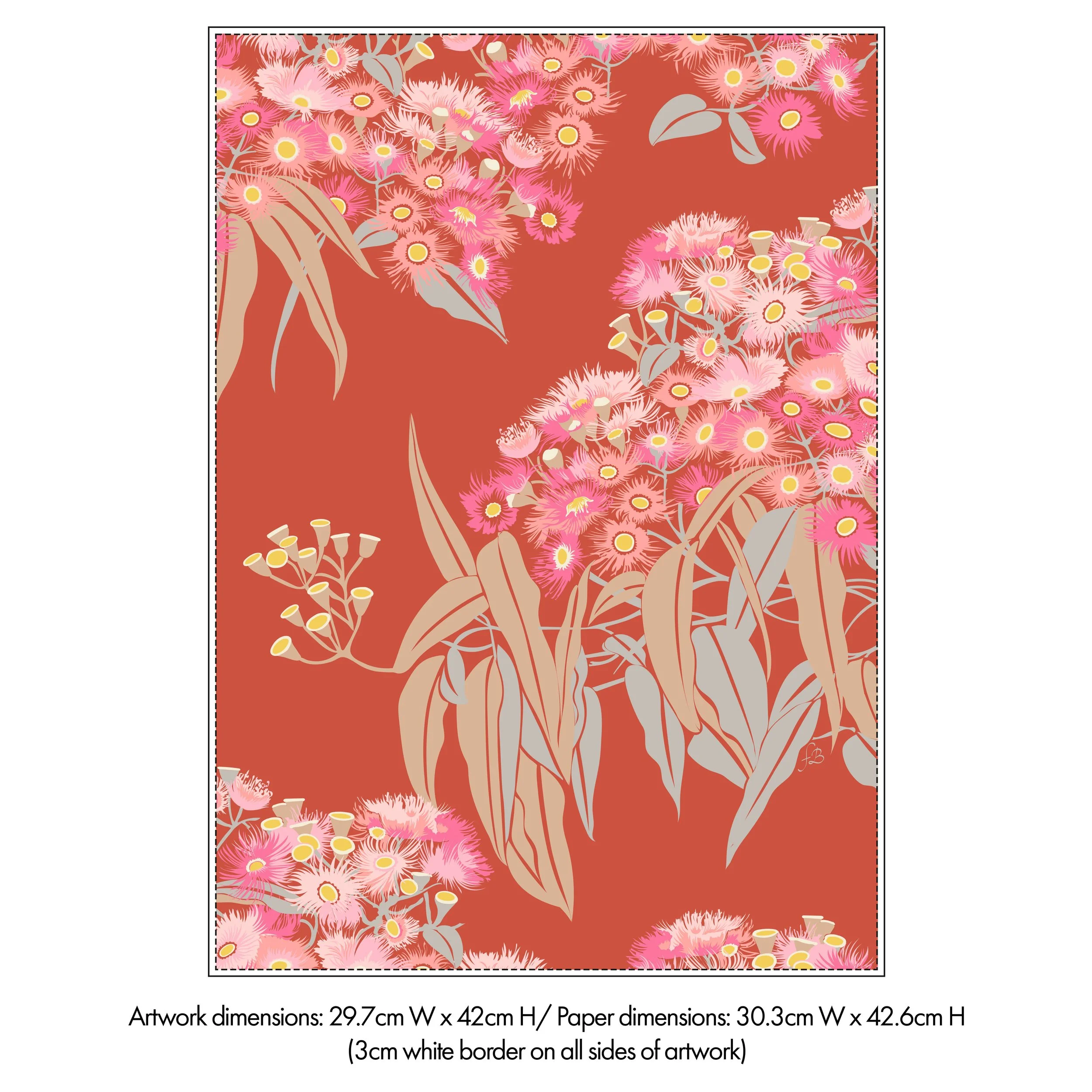 Dims info Ficifolia Corymbia.jpg