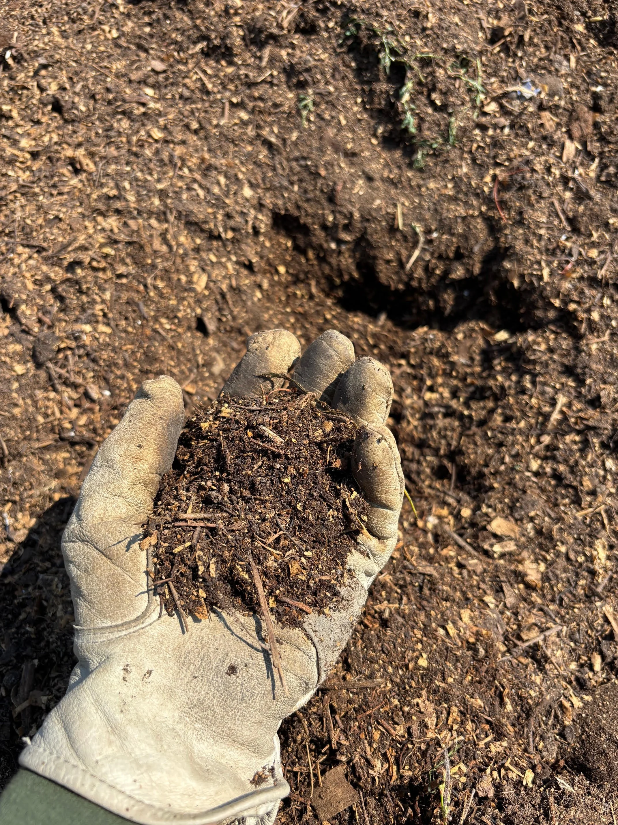 Compost Project at Tyler Thievin's