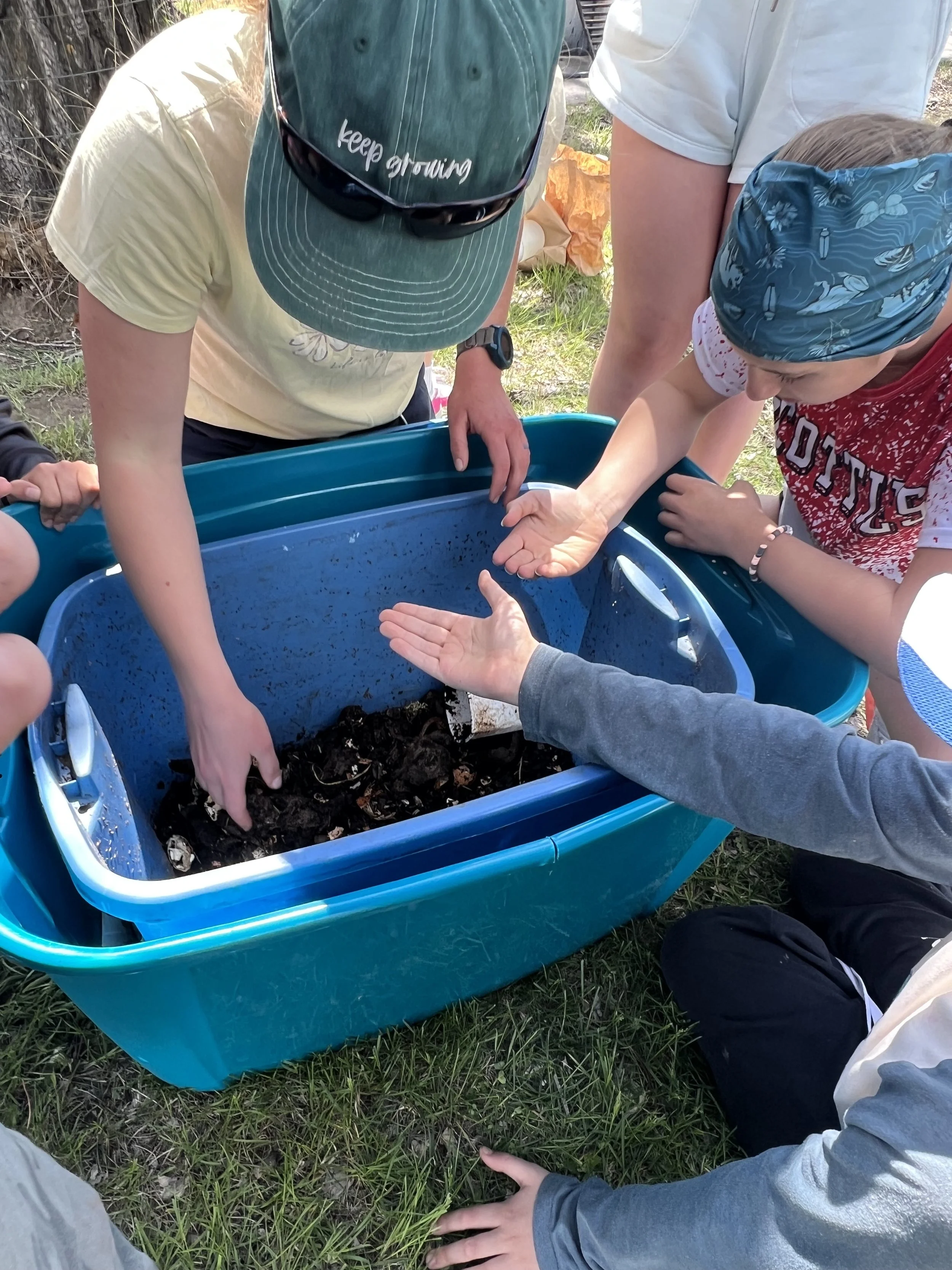 Worm Education during Outdoor Classroom