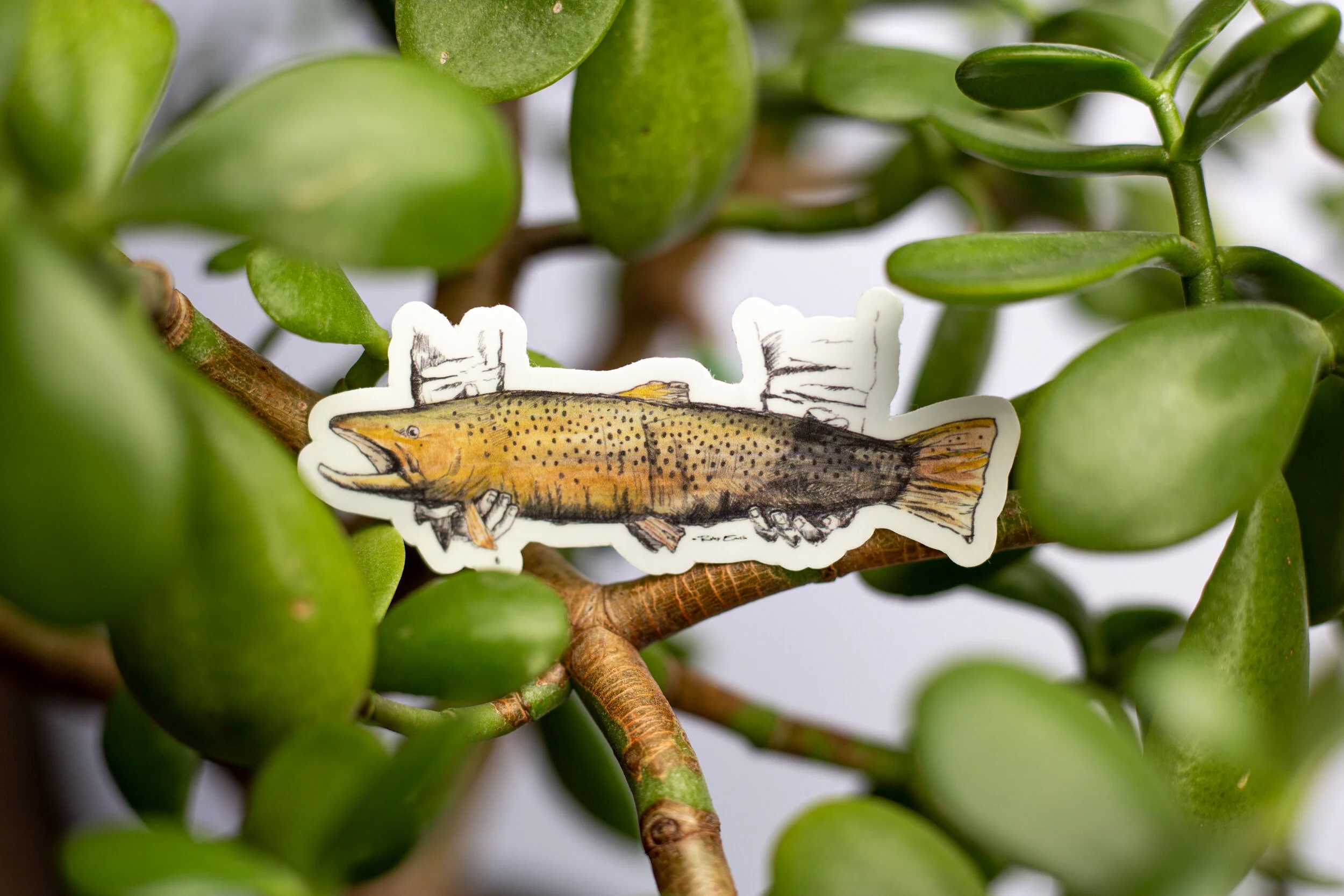Lunker sticker