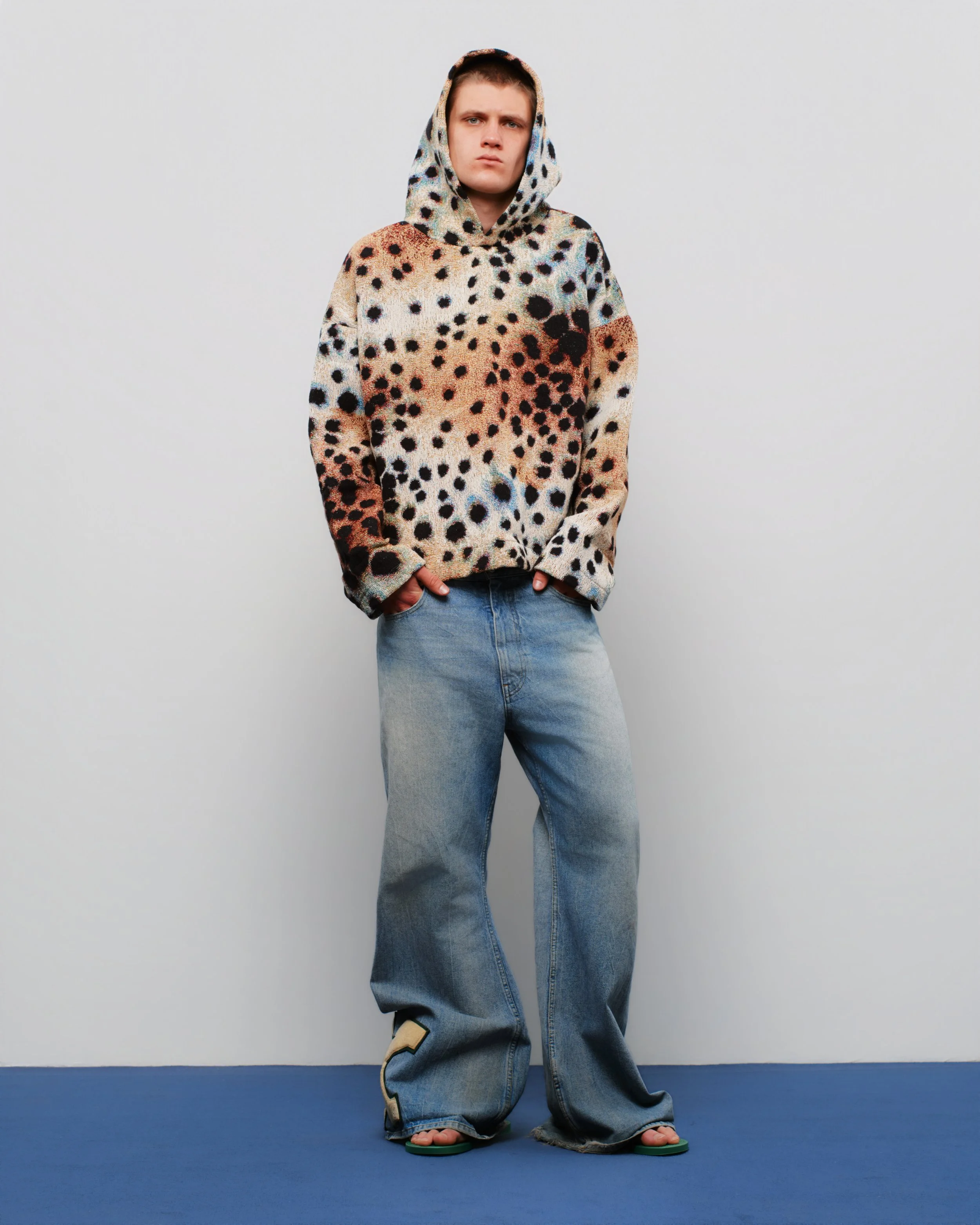 Dalmata