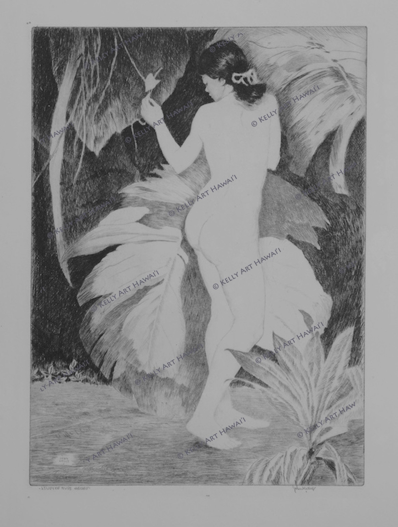 Nude Model