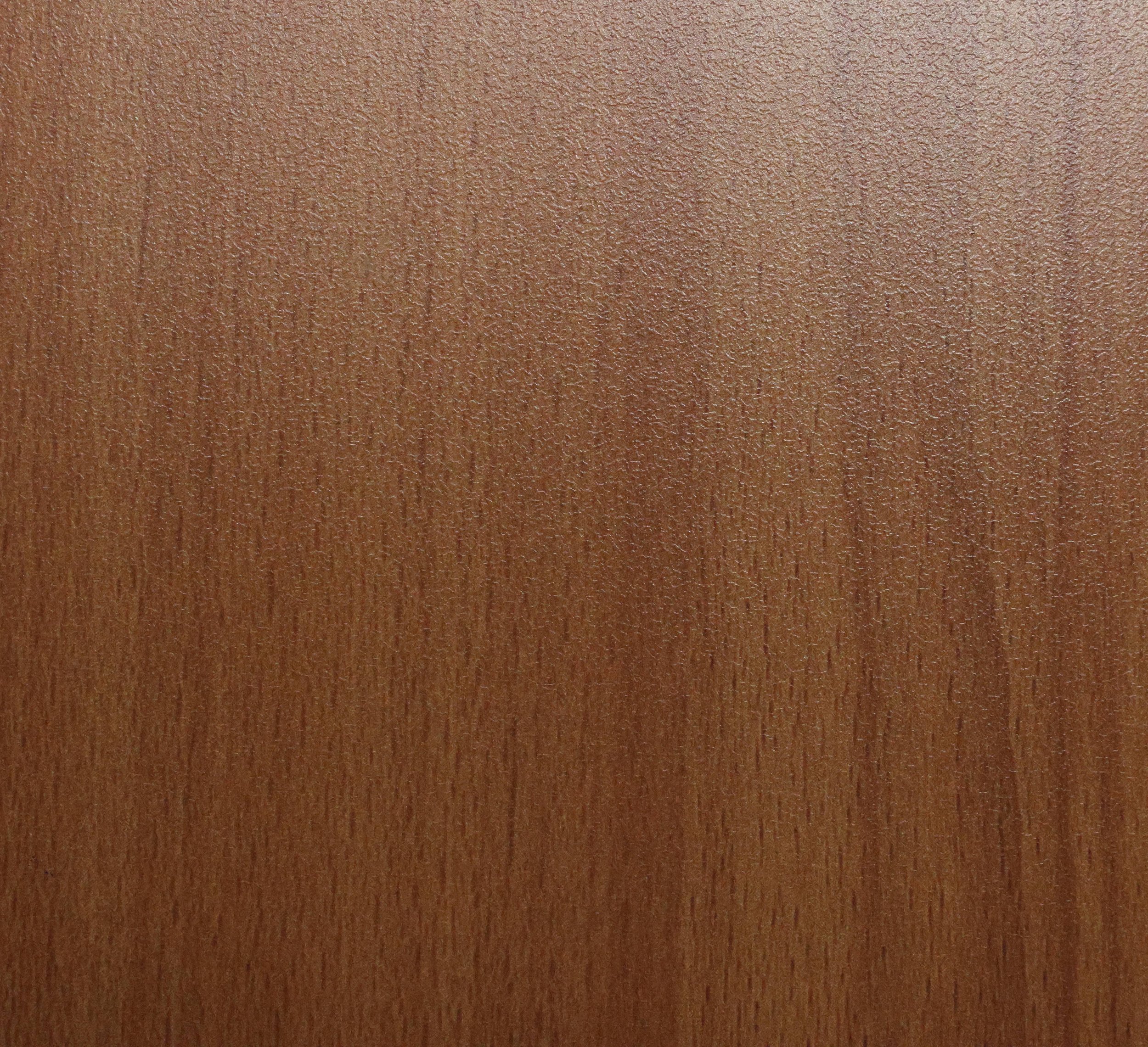 Norway Beech TH 1229 FC