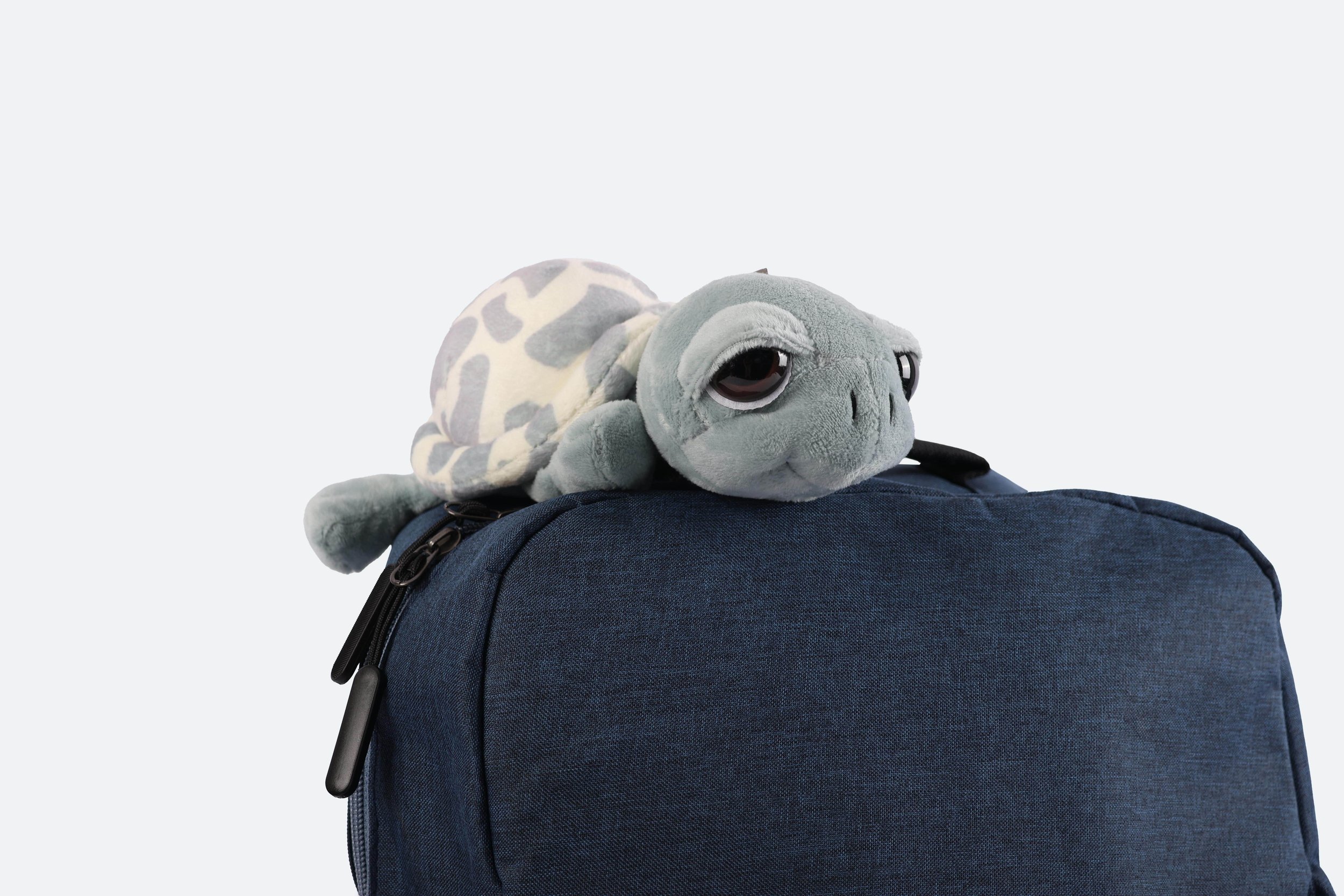 Hamilton Island Custom Toy Turtle