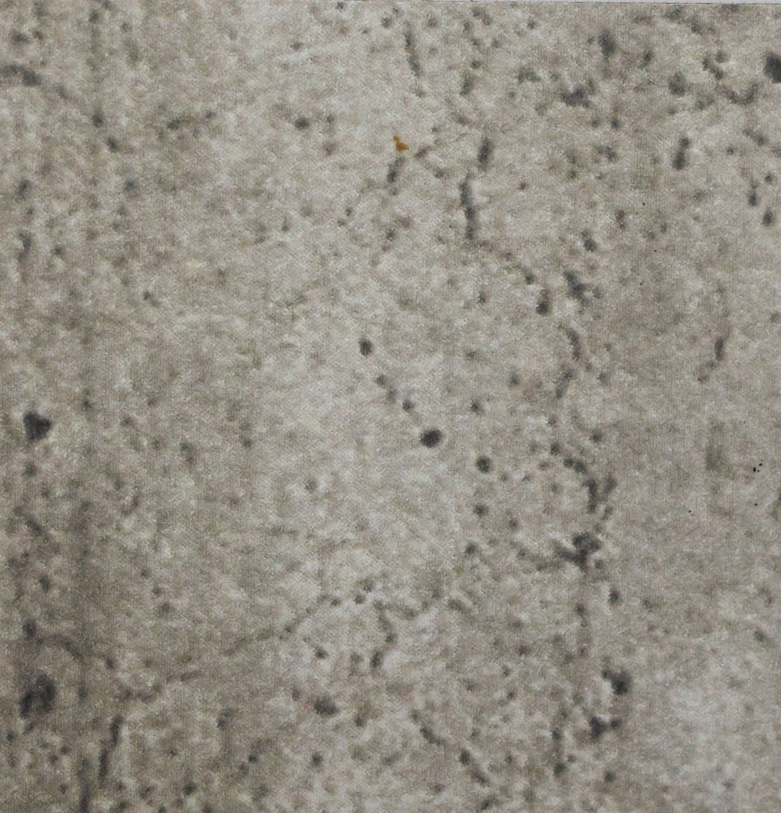 Concrete Slate TH 1221 SL