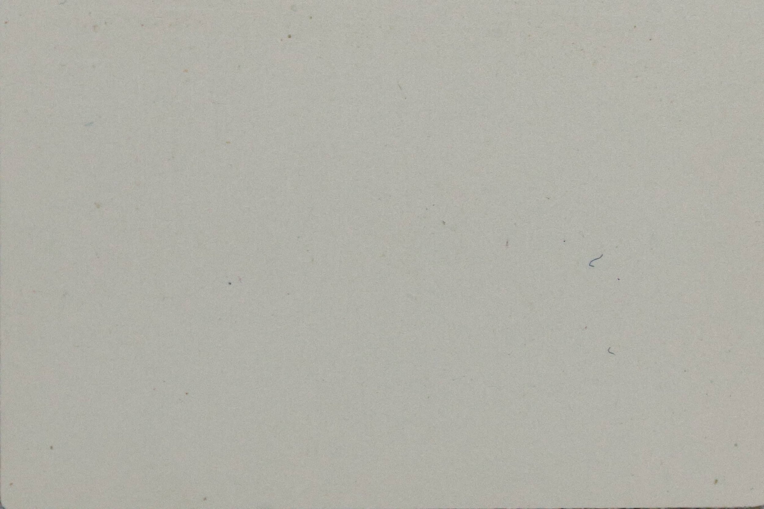 Mocassin Ivory Gloss - 009 G 