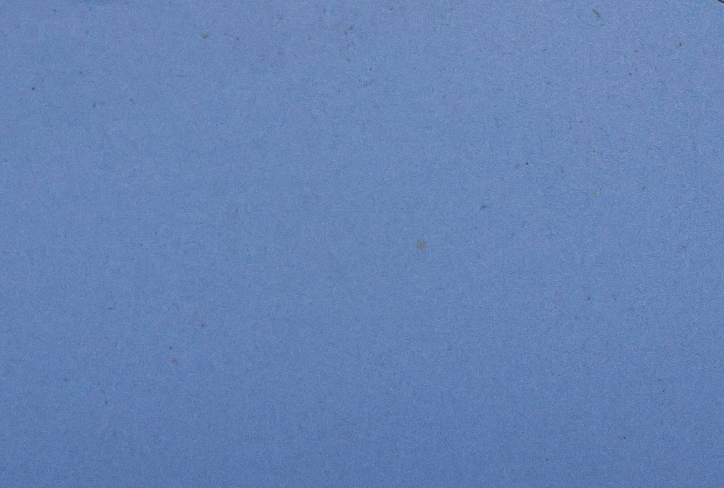 Baby Blue Dove TH 026 D