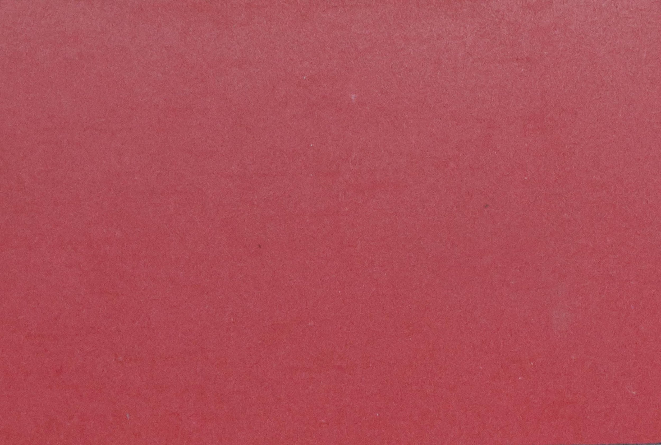 Bright Pink Dove TH 018 D 