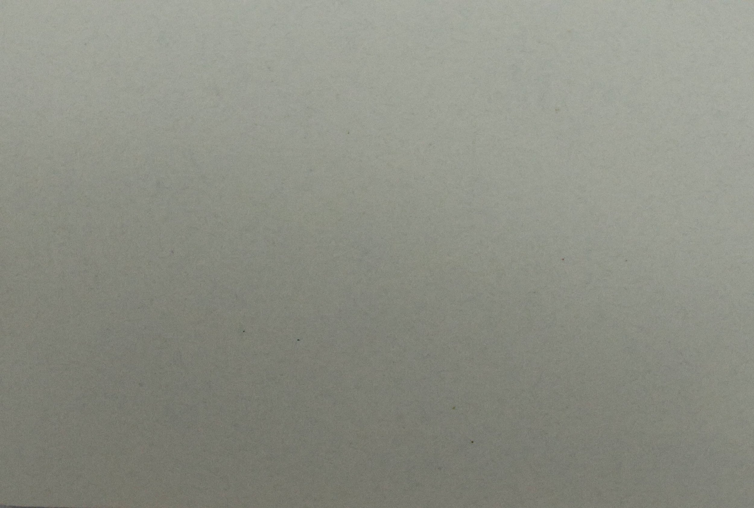 Egg White Gloss TH 019 G