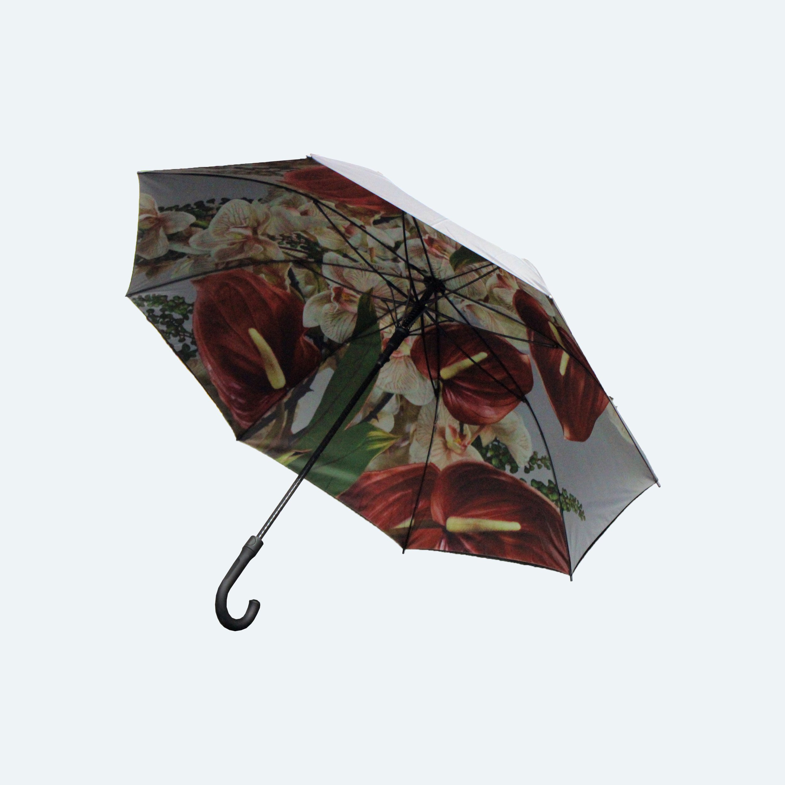 ROYCE-umbrella-back-22.06.23-by-consultantspr.com.jpg