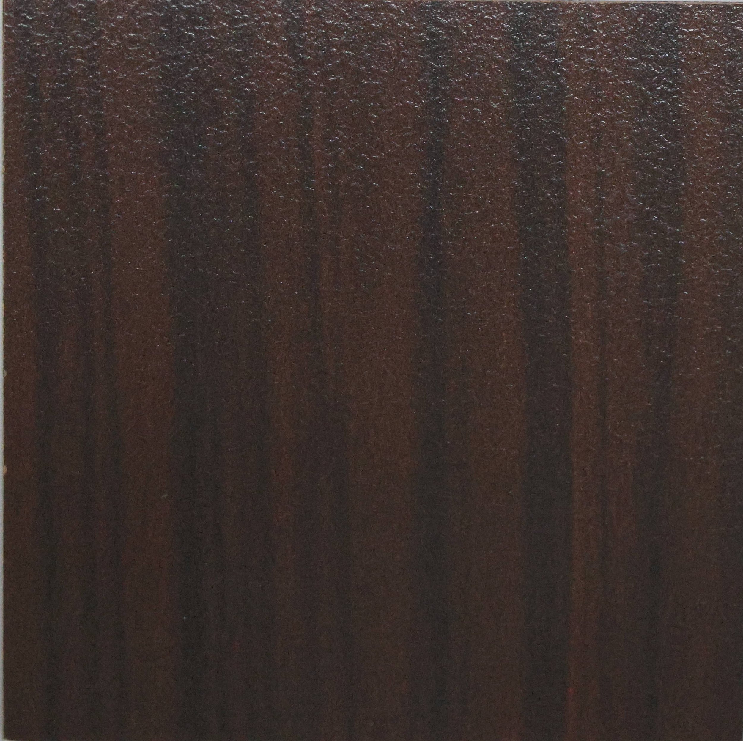 Oriental Zebra TH 300 H