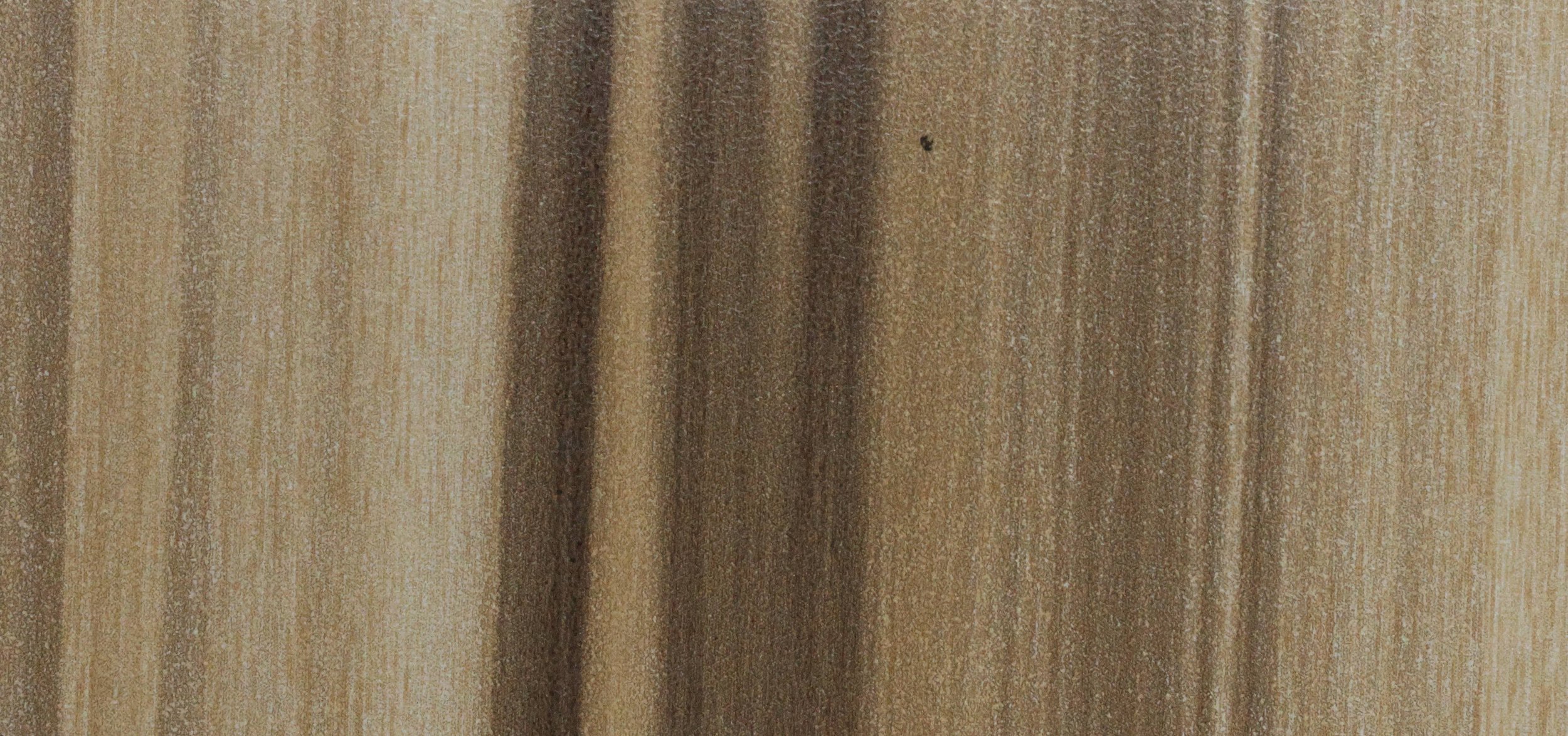 Safari Pyrus TH 256 B