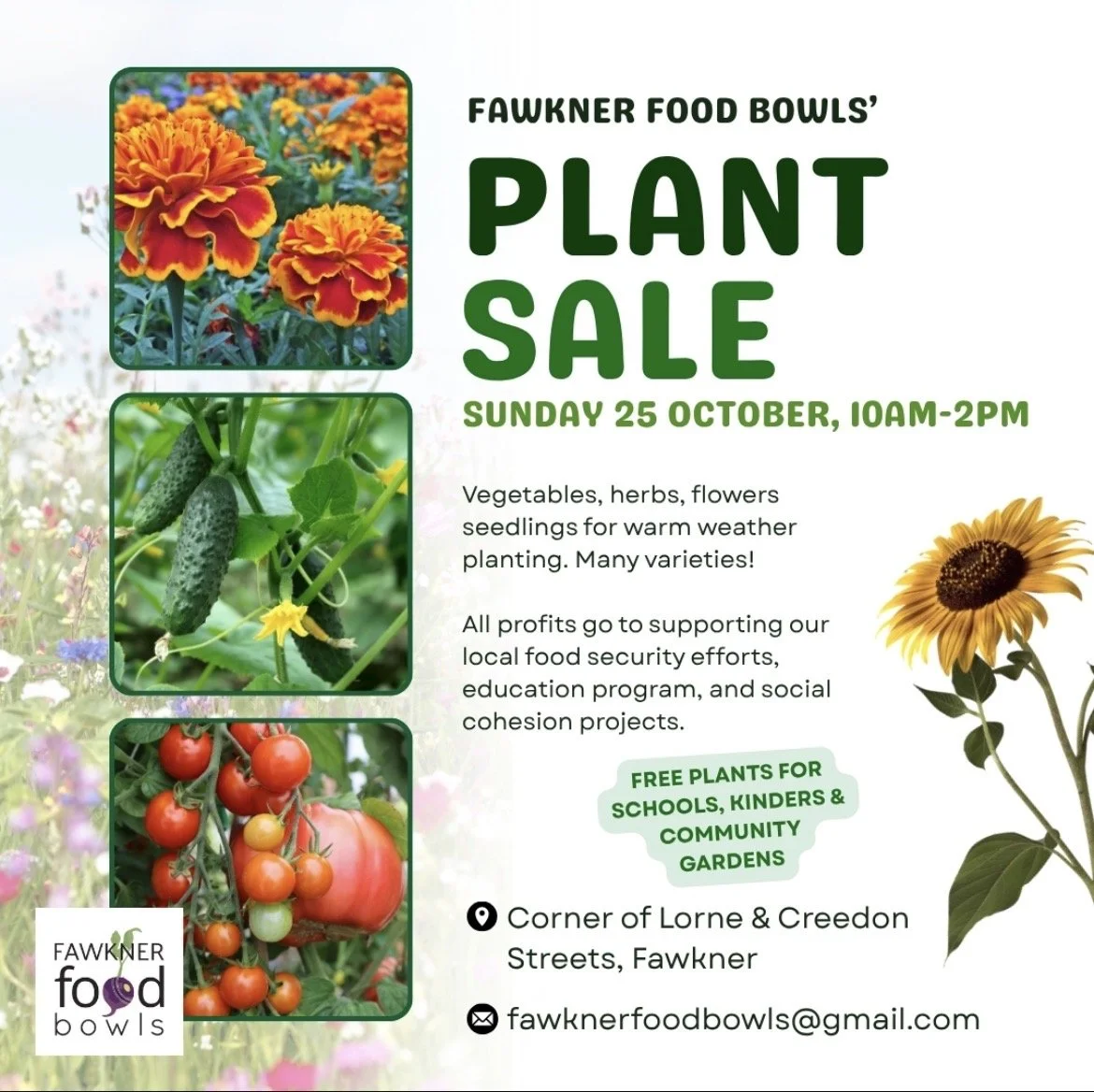 Free seedlings for school groups