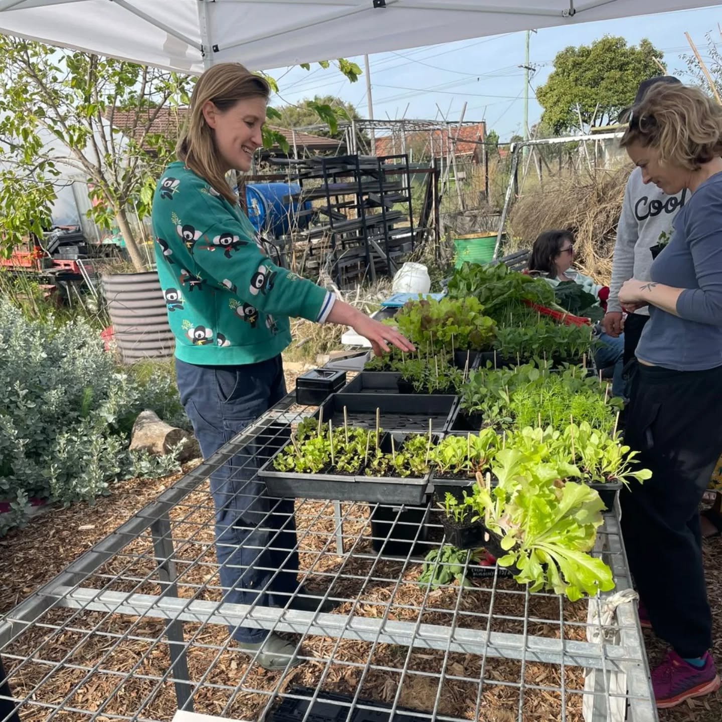 Sunshine, stories, and shared meals! Our community garden came alive this weekend with the launch of our cookbook, a delicious potluck lunch, plant sales, and magical garden potions made by the kids. Thank you to everyone who made it such a joyful an