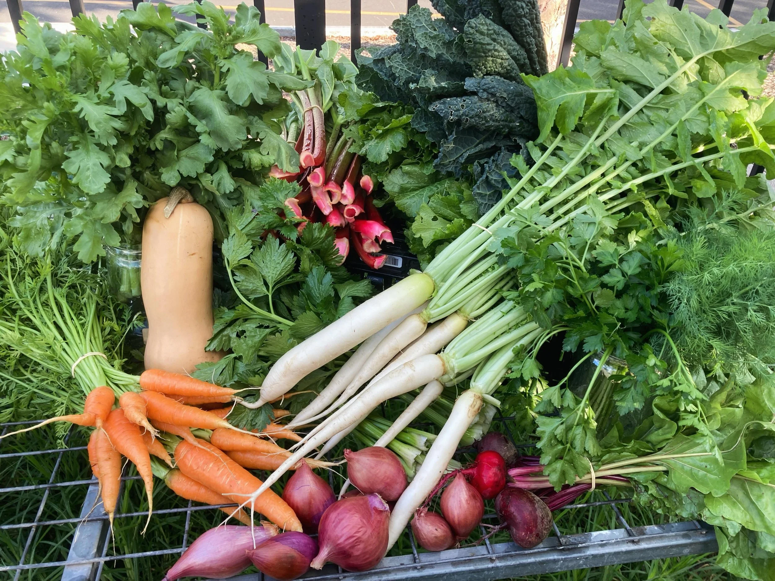 Did you know that our produce is available to purchase? Every week we supply the @merrifoodhub  with fresh, organic, culturally diverse produce grown in Fawkner with the help of our incredible volunteer community. 

Markets run in Glenroy and Fawkner
