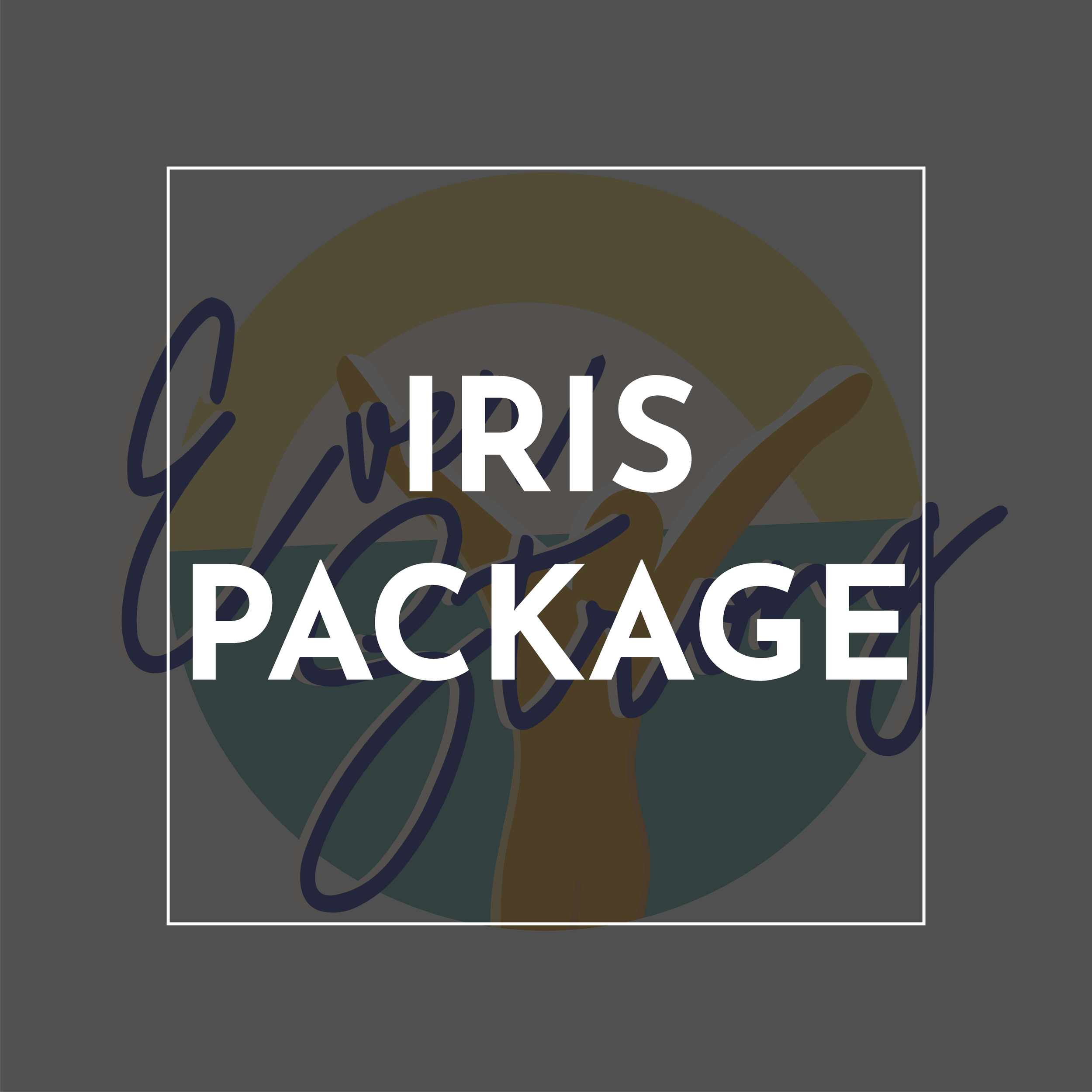 New Pricing Packages-16.png