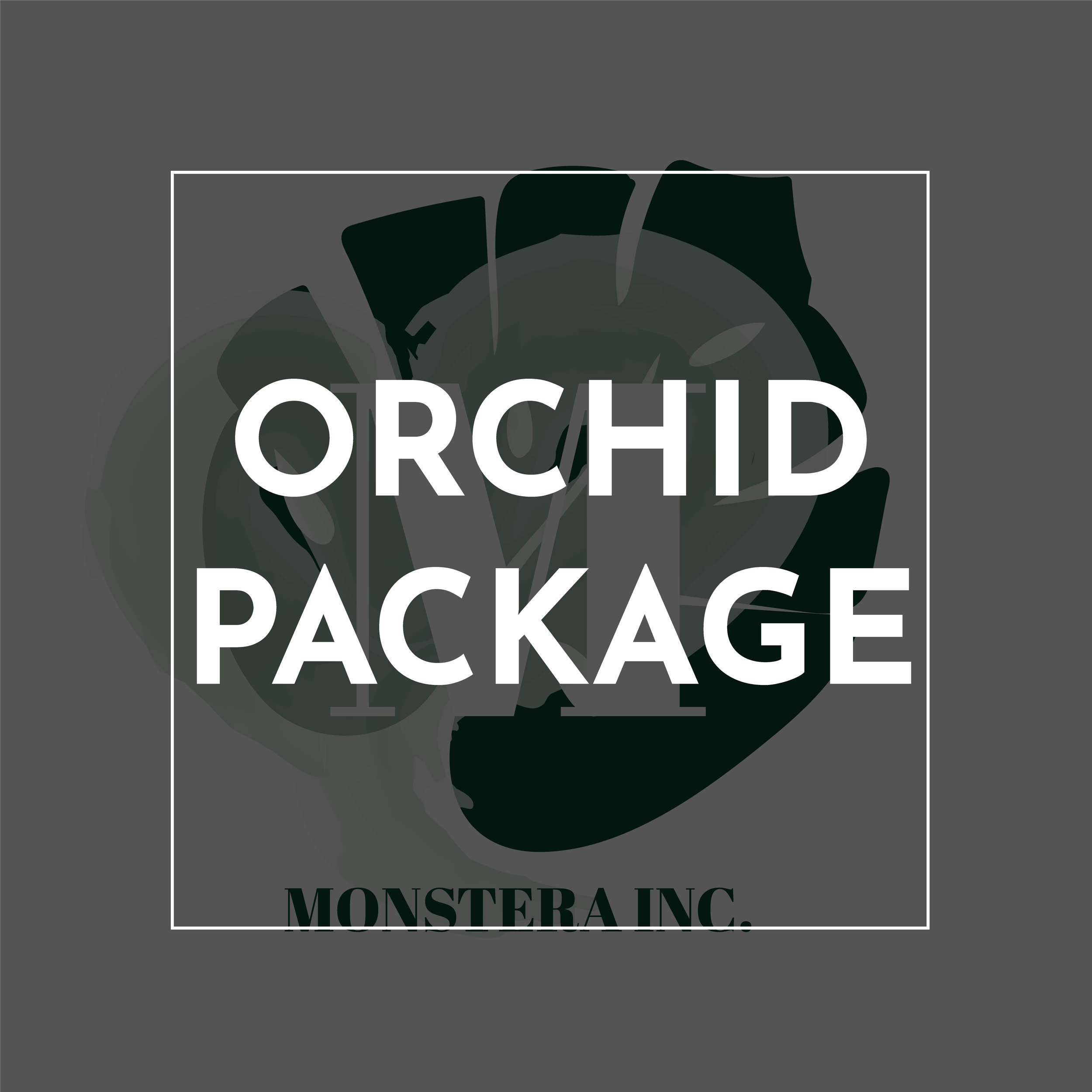 New Pricing Packages-20.png