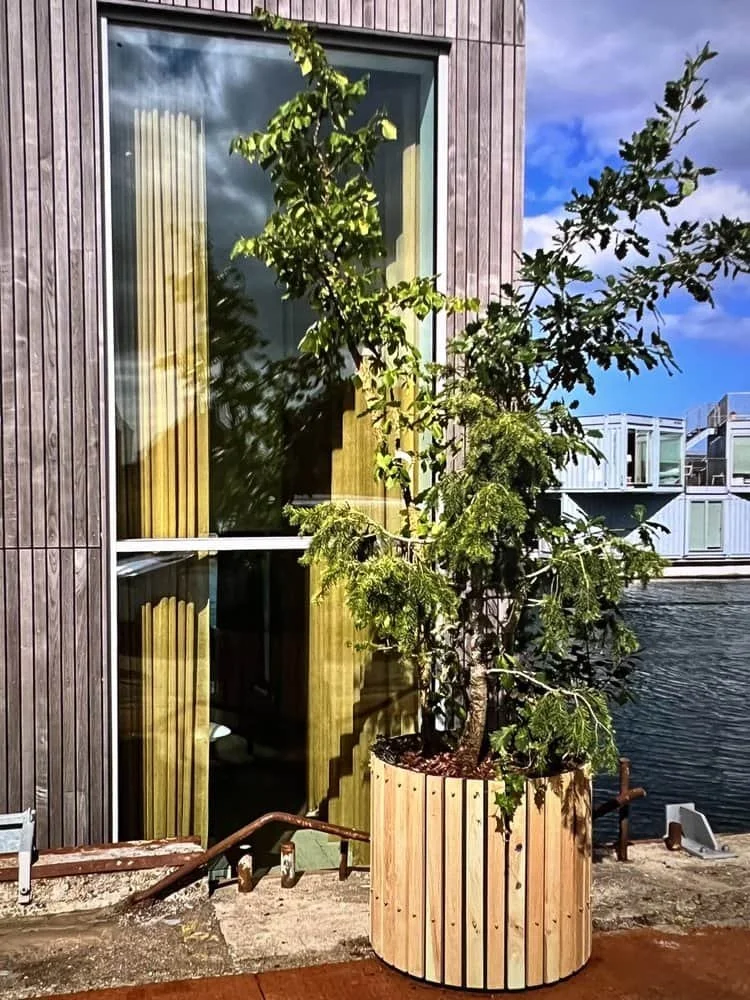 Stort træ plantet i Nordic Edition selvvandingskrukke i bæredygtigt egetræ foran moderne bygning ved vandet – et eksempel på grøn udendørs beplantning til virksomheder og boligområder.