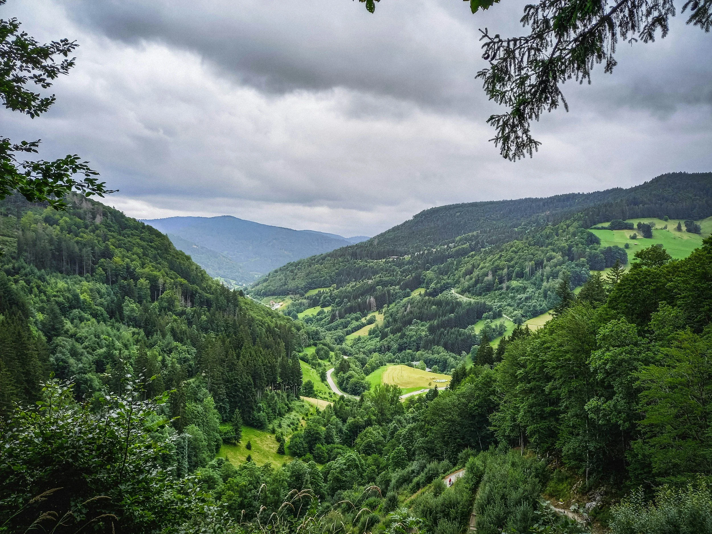 Mediale Woche im Hollerbühl mit Sue Dhaibi