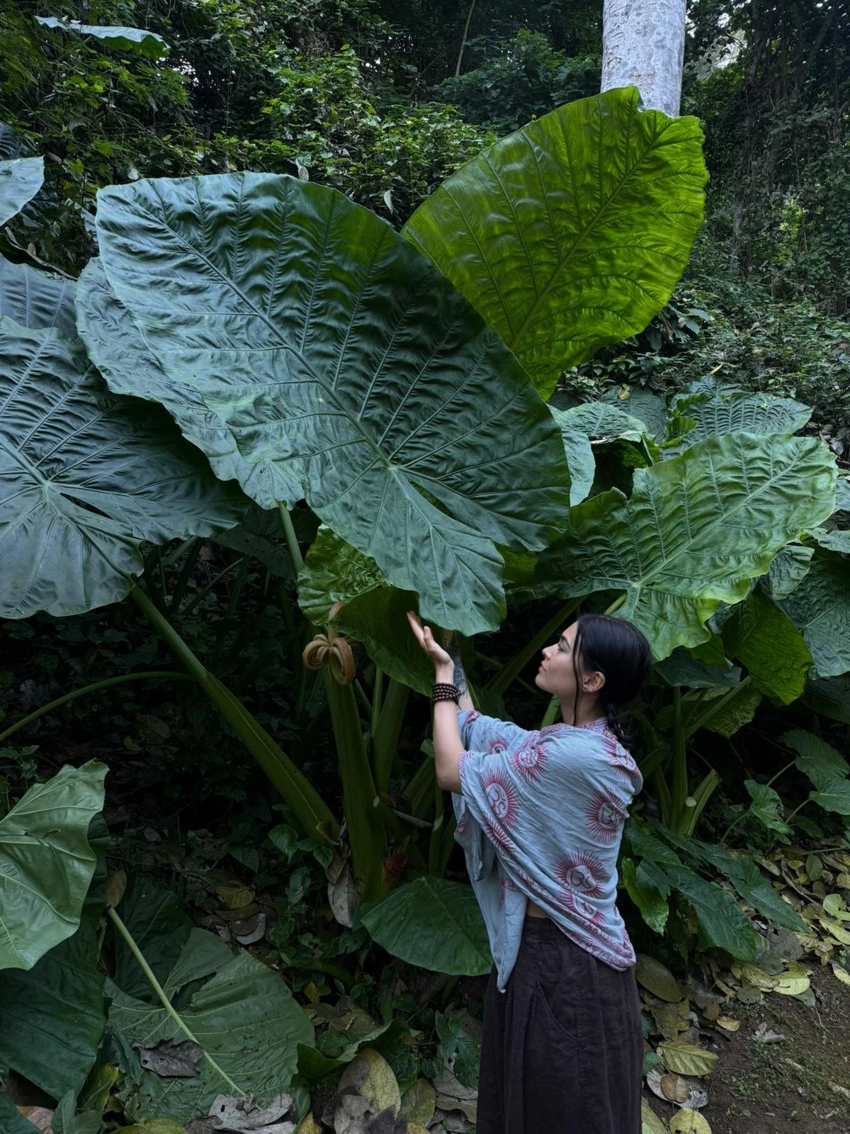Woman standing among large tropical plants with broad green leaves in a forest setting
