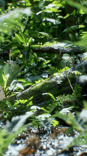 Jungle Camouflage.gif