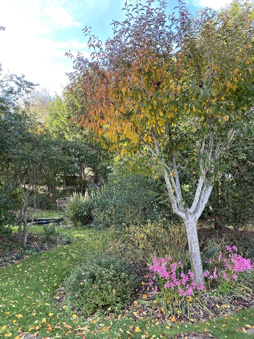 Gardens.jpg