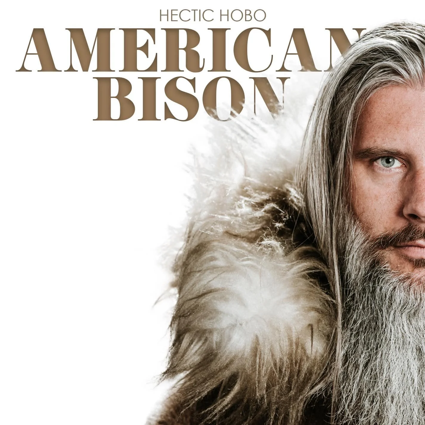 HECTIC HOBO’S ‘AMERICAN BISON’: ‘A GAS STATION OF A PETTING ZOO’