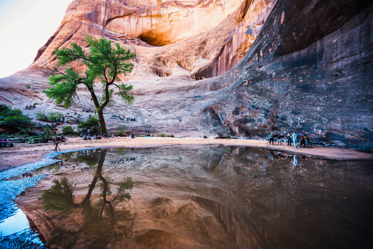 Untitled-3 (1).png