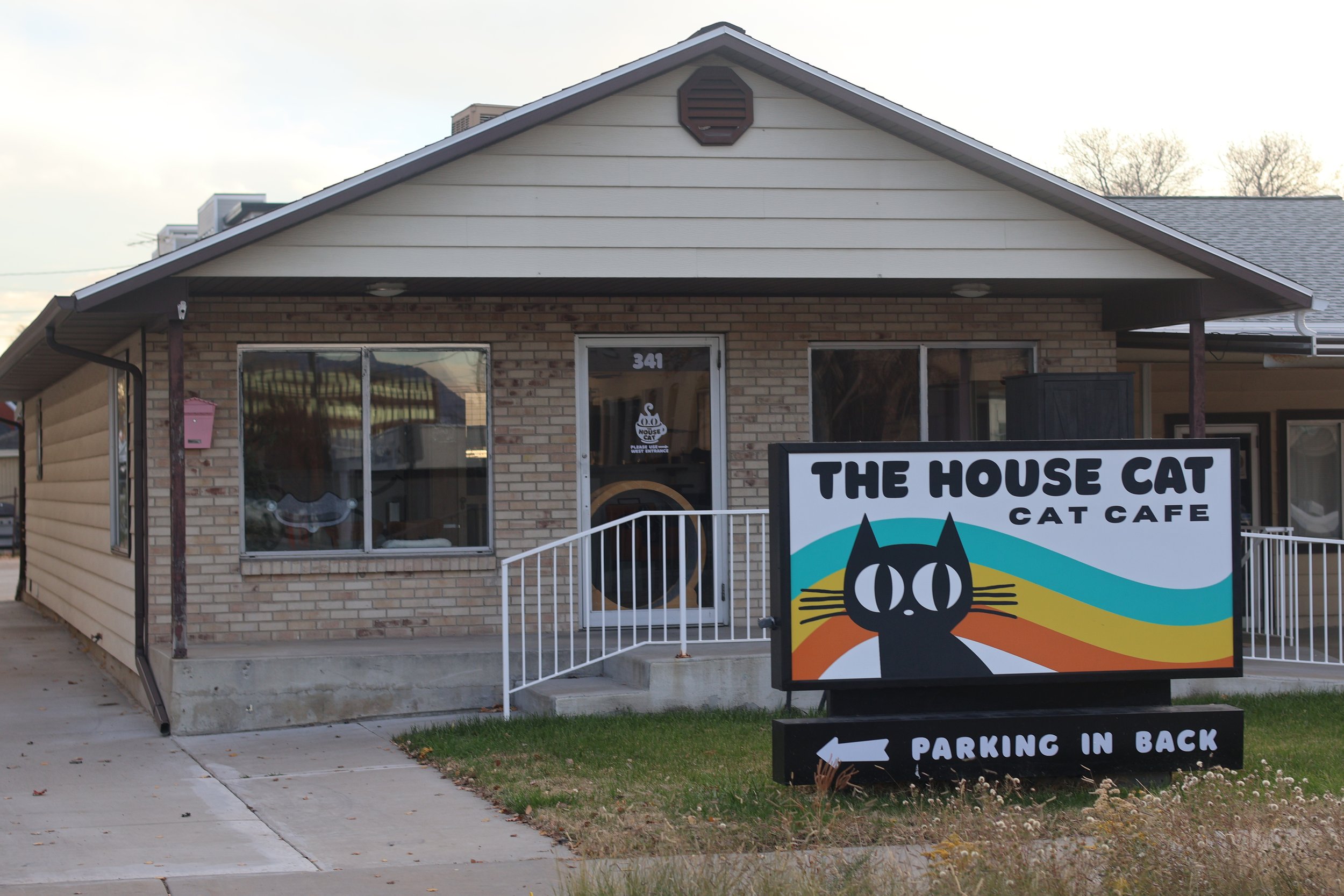 Hot coffee and cool cats await in new Ogden cafe