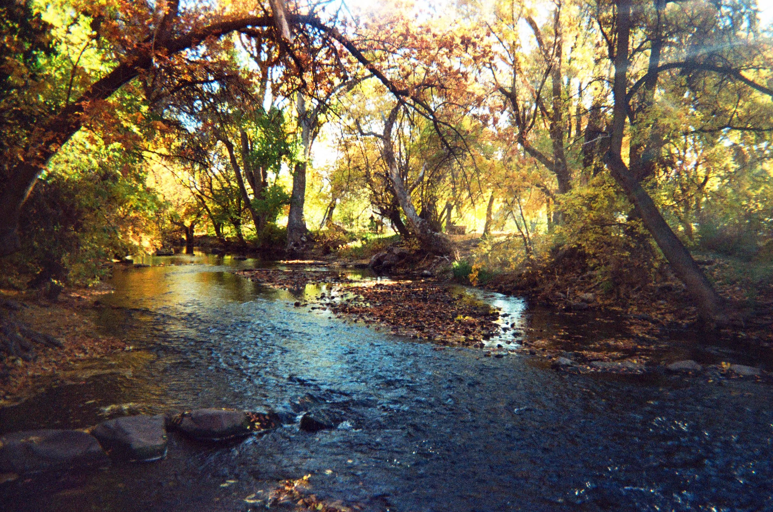 Ogden Camera Project 09.JPG