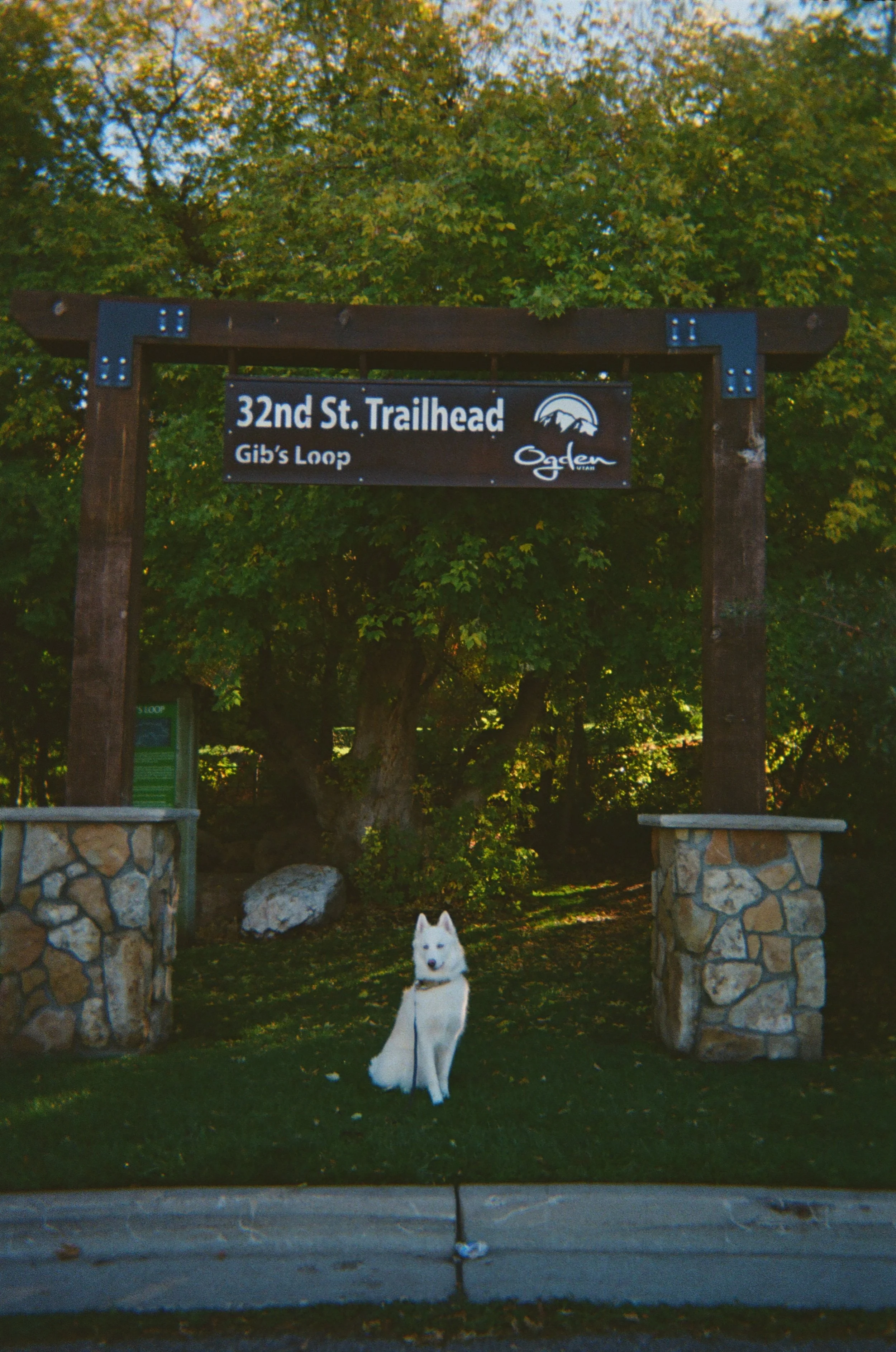 Ogden Camera Project 07.JPG