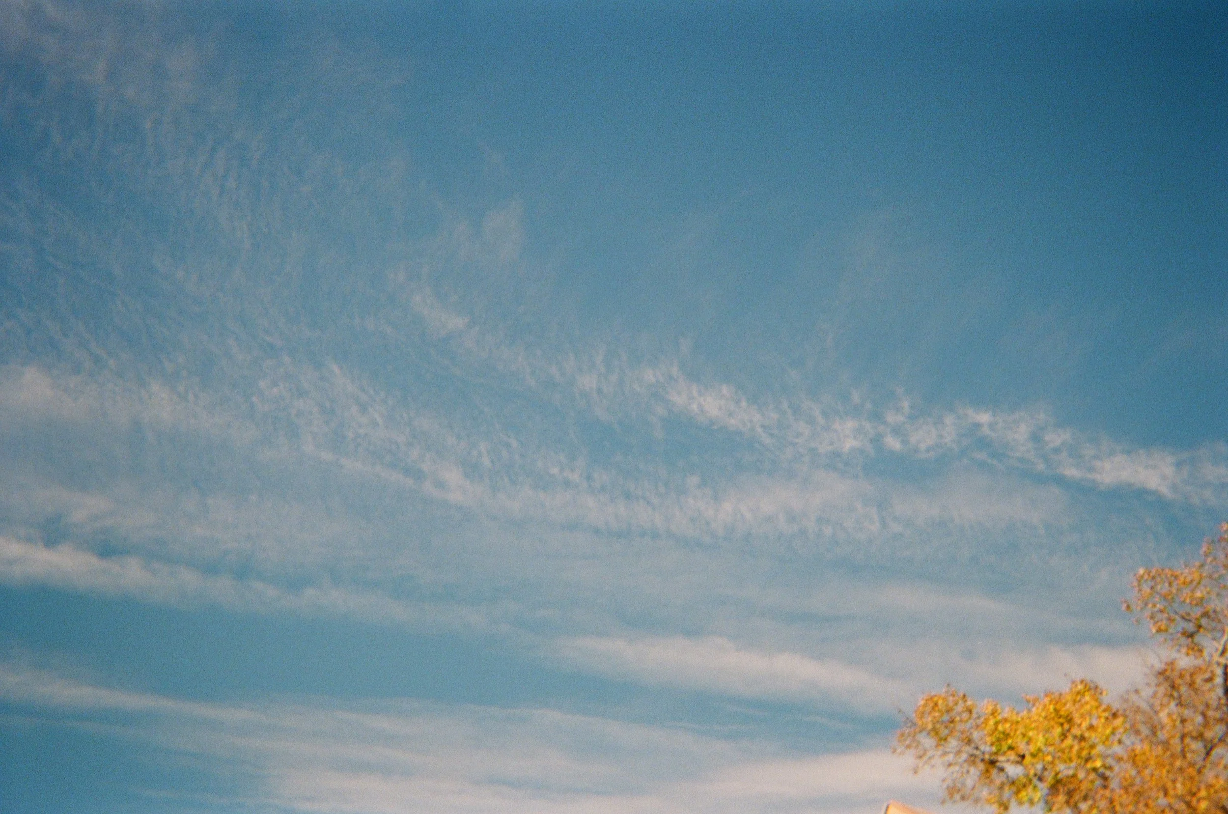 Ogden Camera Project 04.JPG