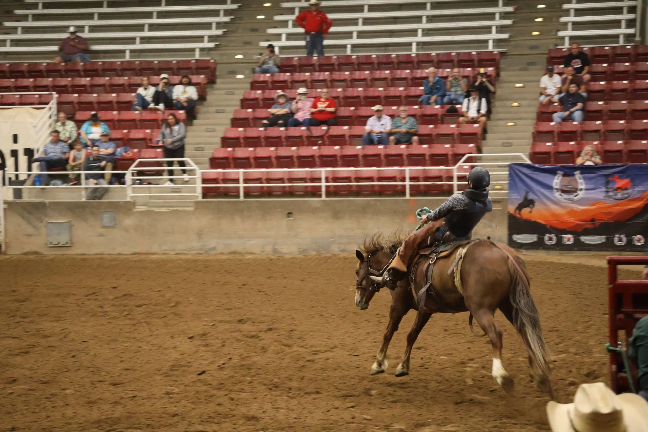 Rainbow Rodeo