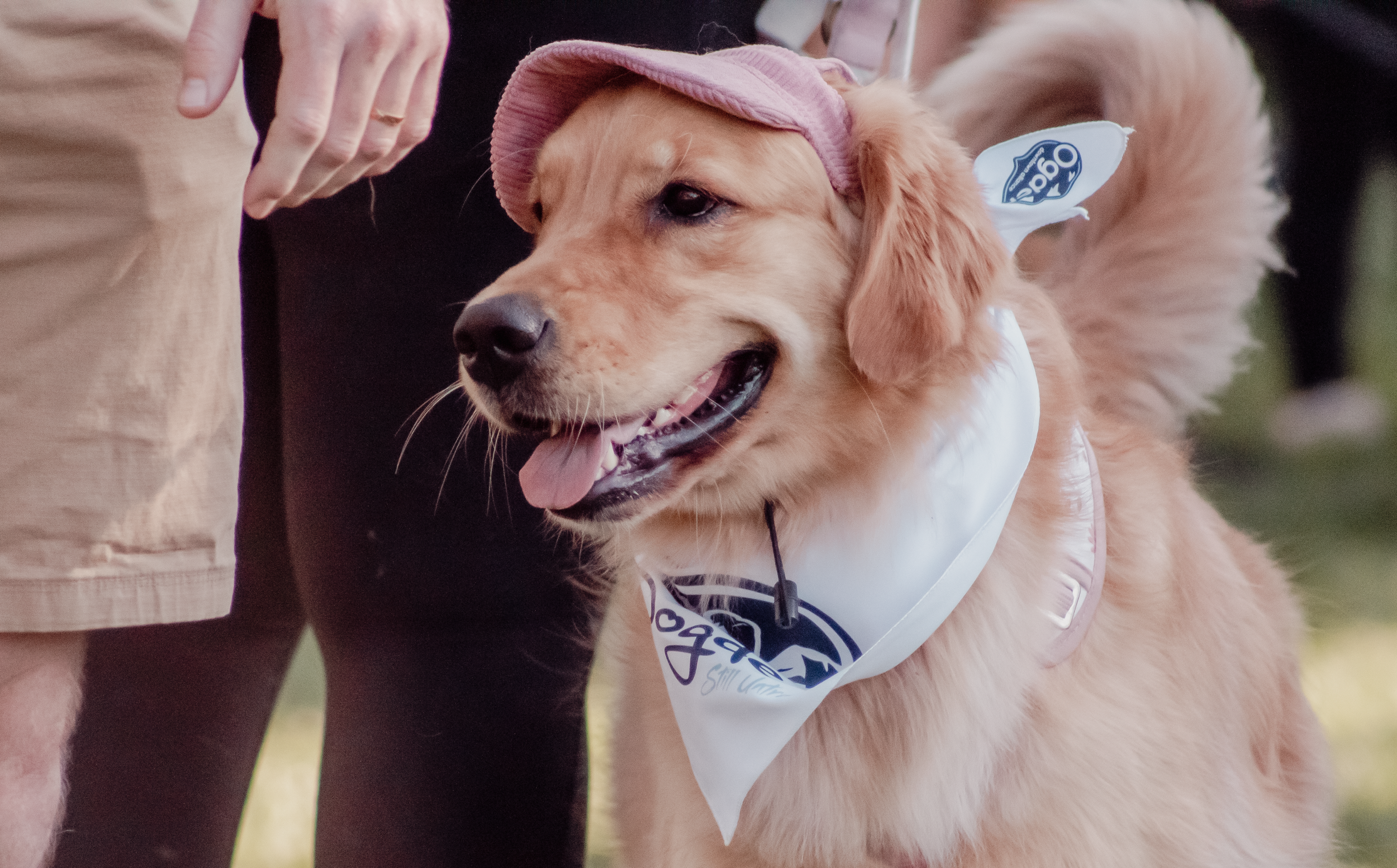Dogden 25-9_Kaylie Peterson .png