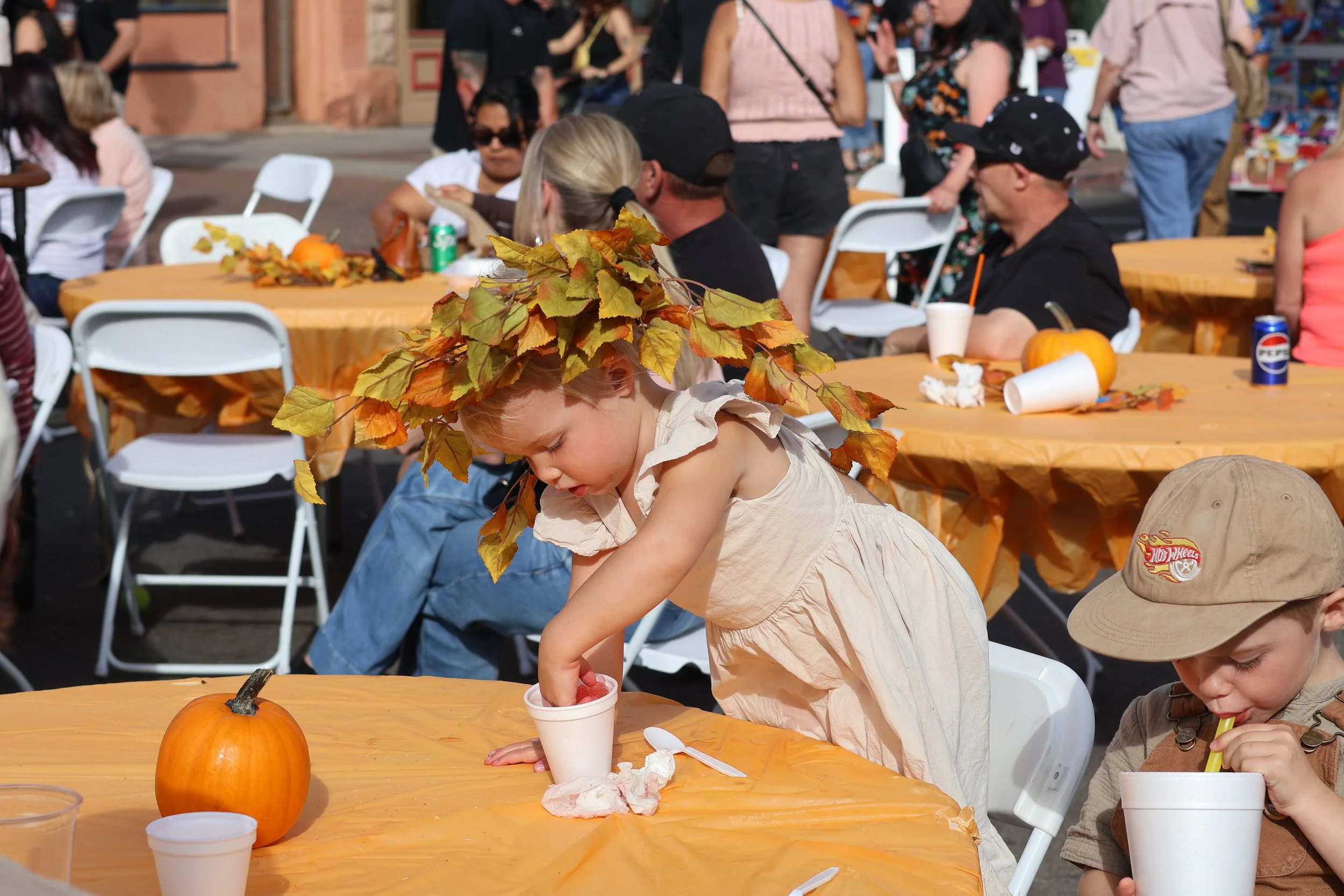IMG_2947_Original.jpg