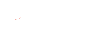 The Coffee Dojo Wanaka