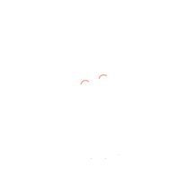 The Coffee Dojo Wanaka