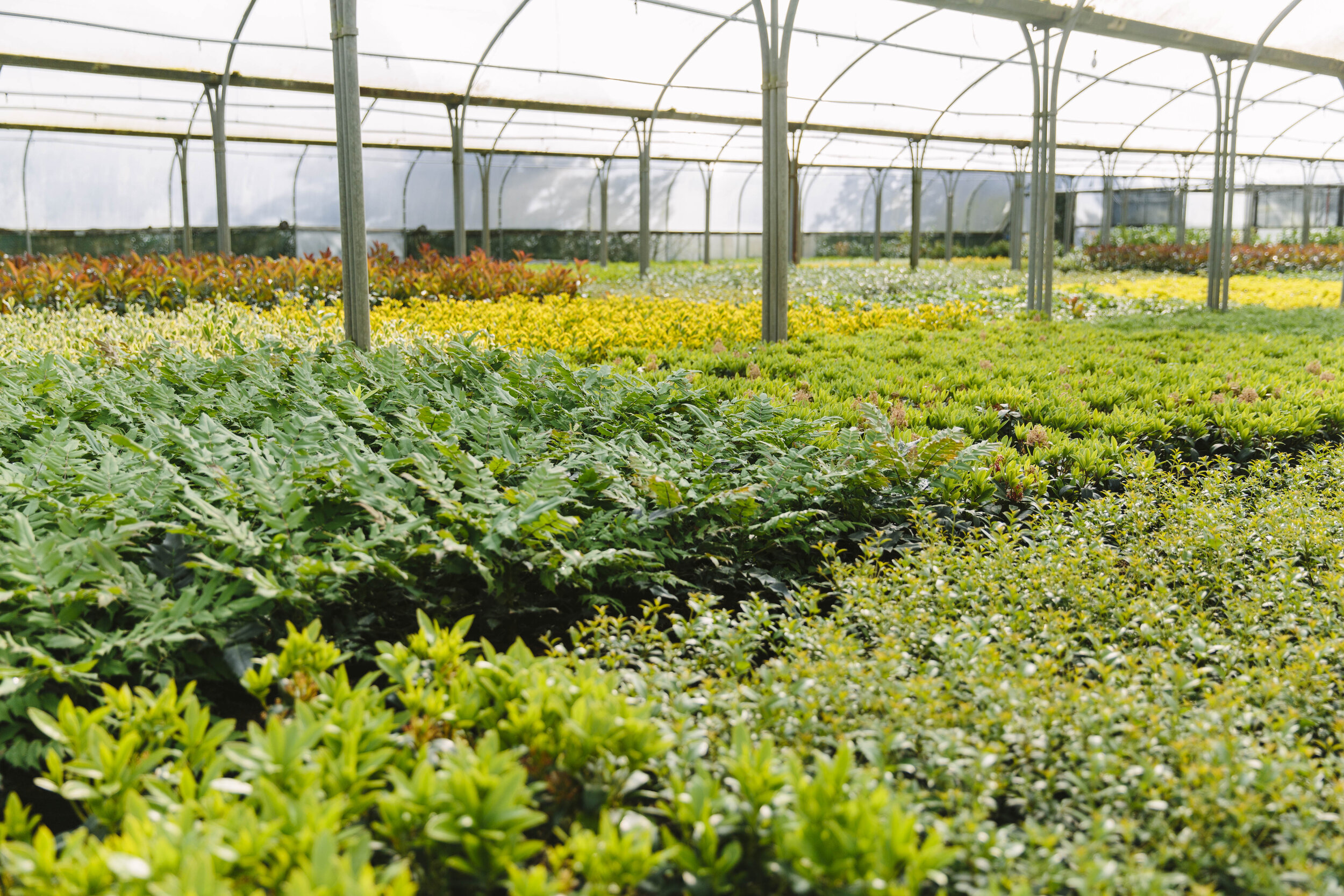 image.title Green Thumb Gardens