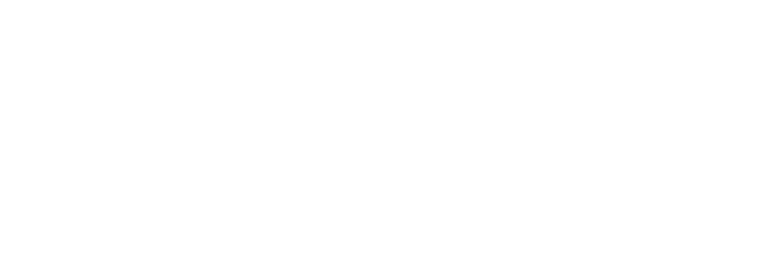 DanelonMeroni Design Studio