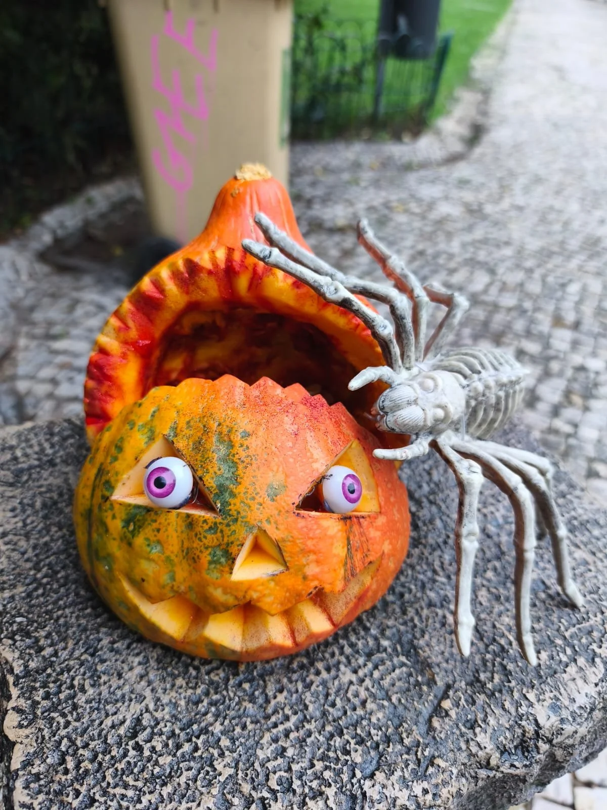 Obrigado pela vossa participação no Concurso de Abóboras! 🎃