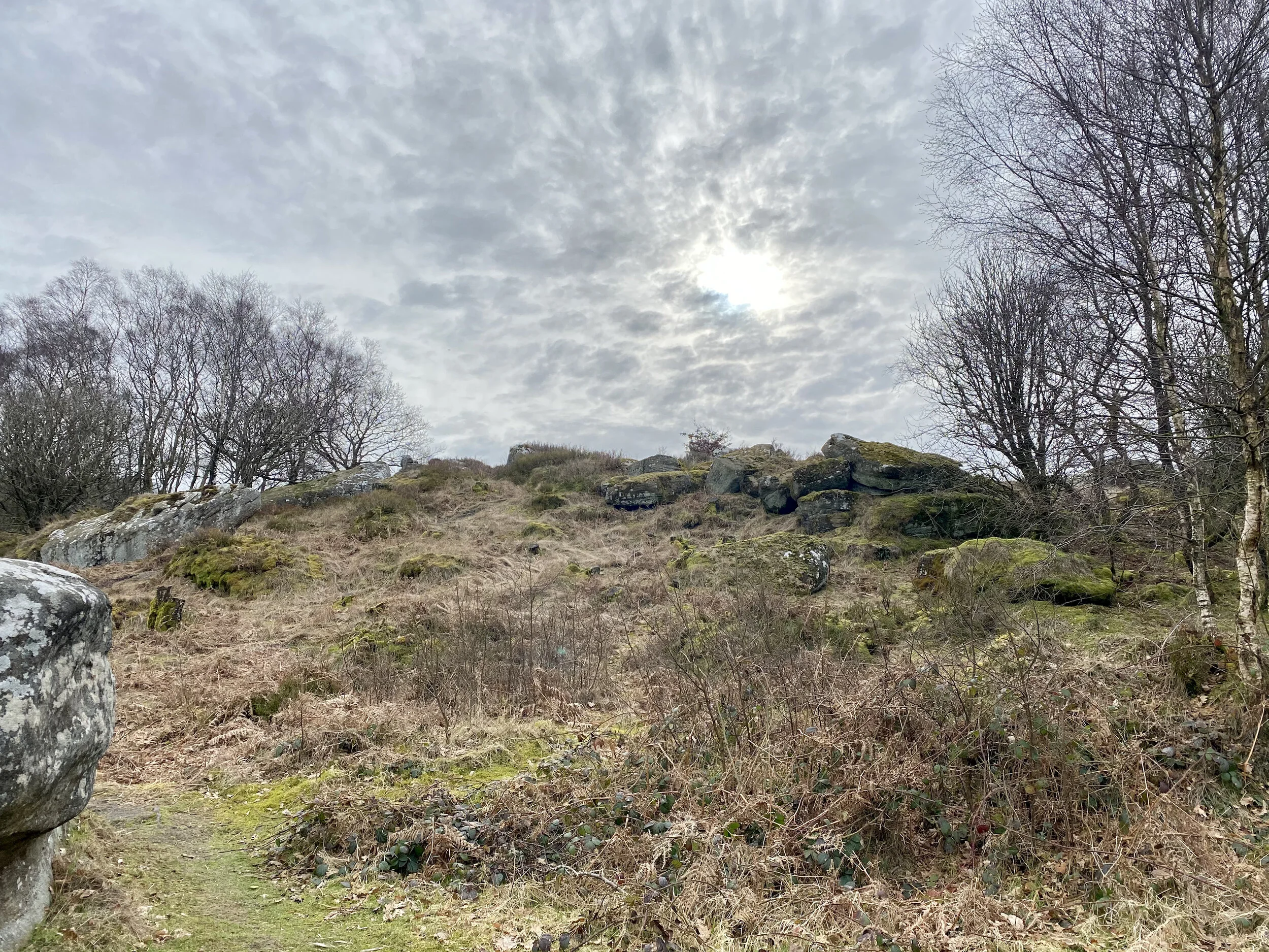 Brimham Rocks-one of my favourite lockdown haunts.