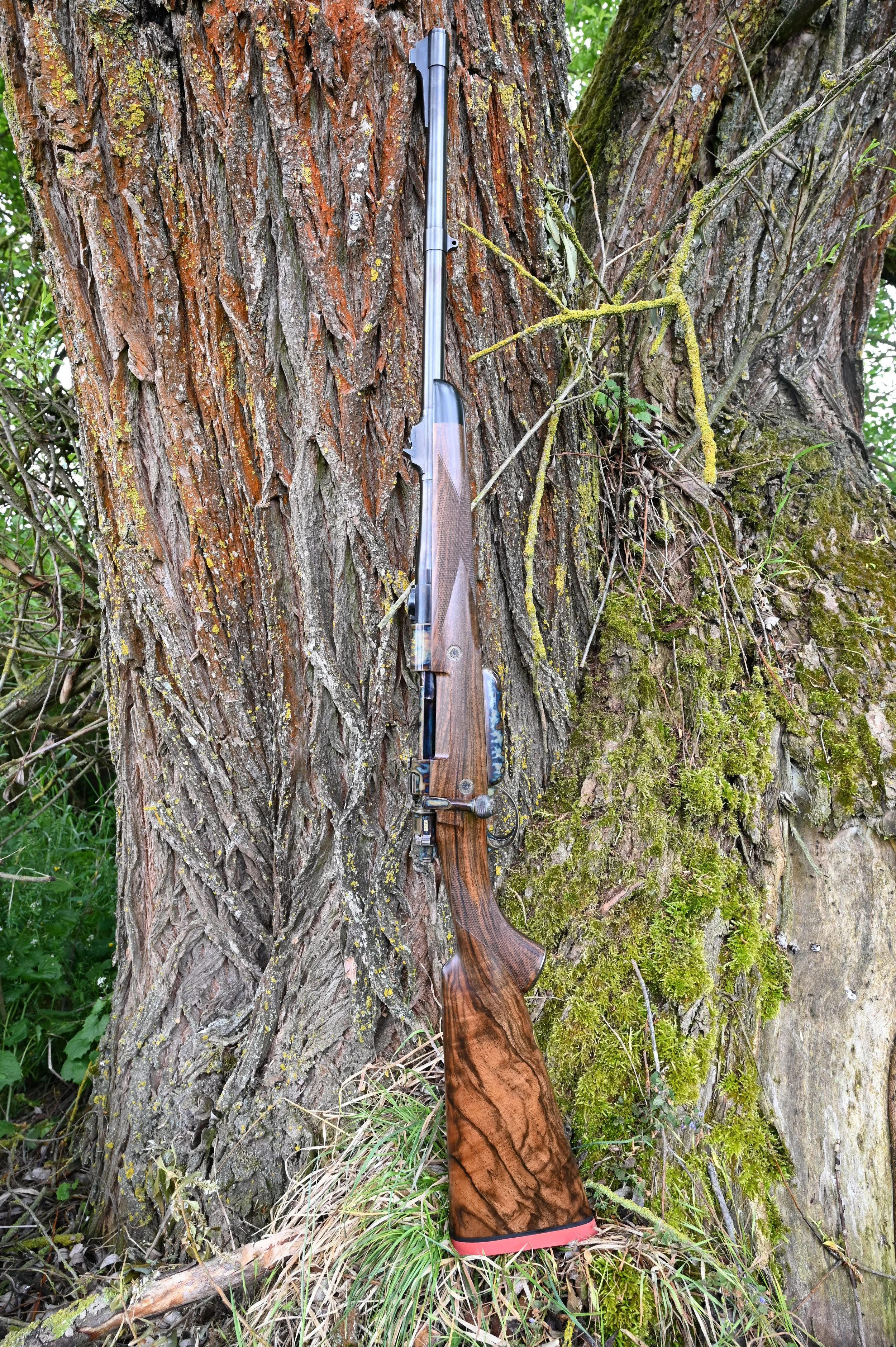 404 Bunthärtung Büffel_DSC_8104.JPG