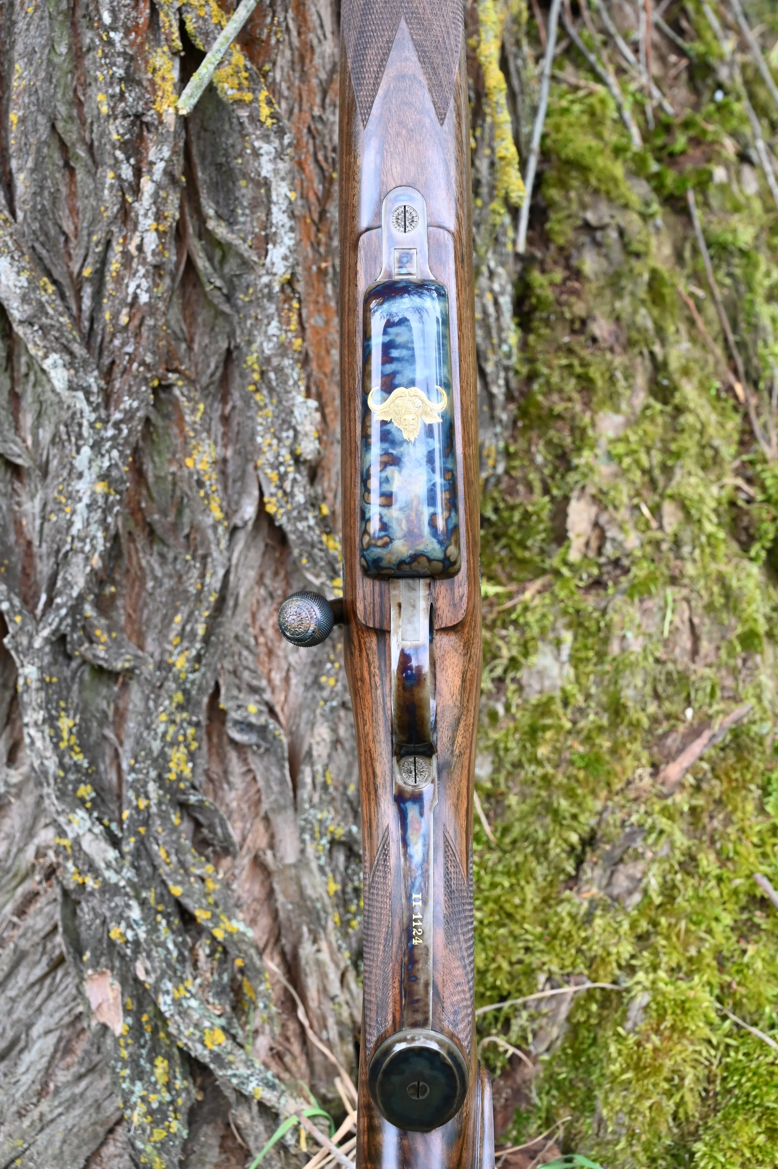 404 Bunthärtung Büffel_DSC_8132.JPG