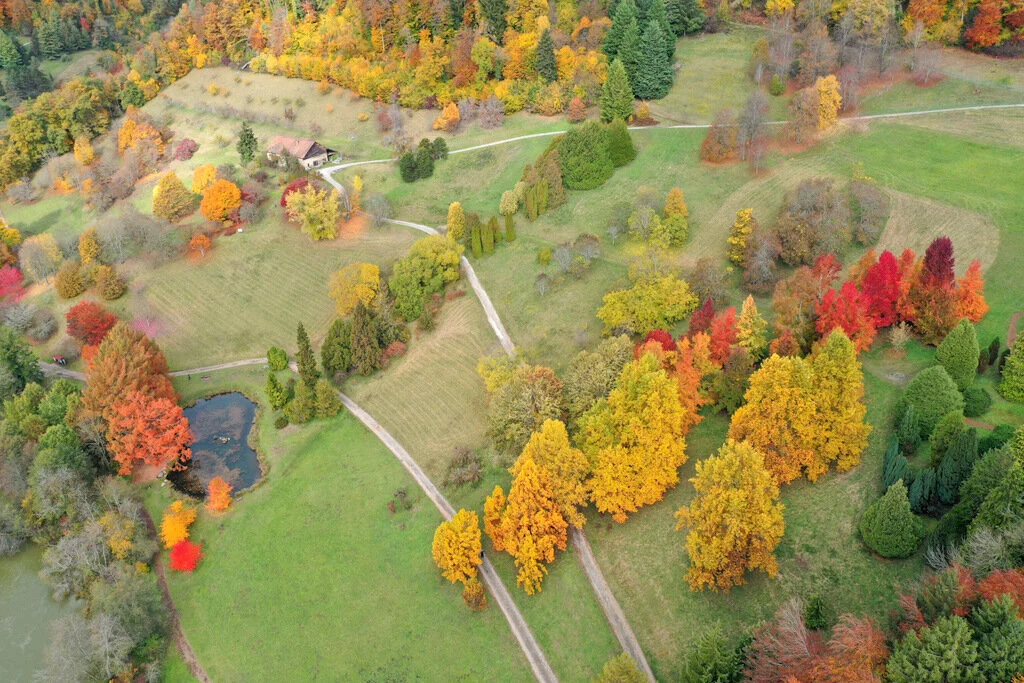 Les journées de travail à l’Arboretum