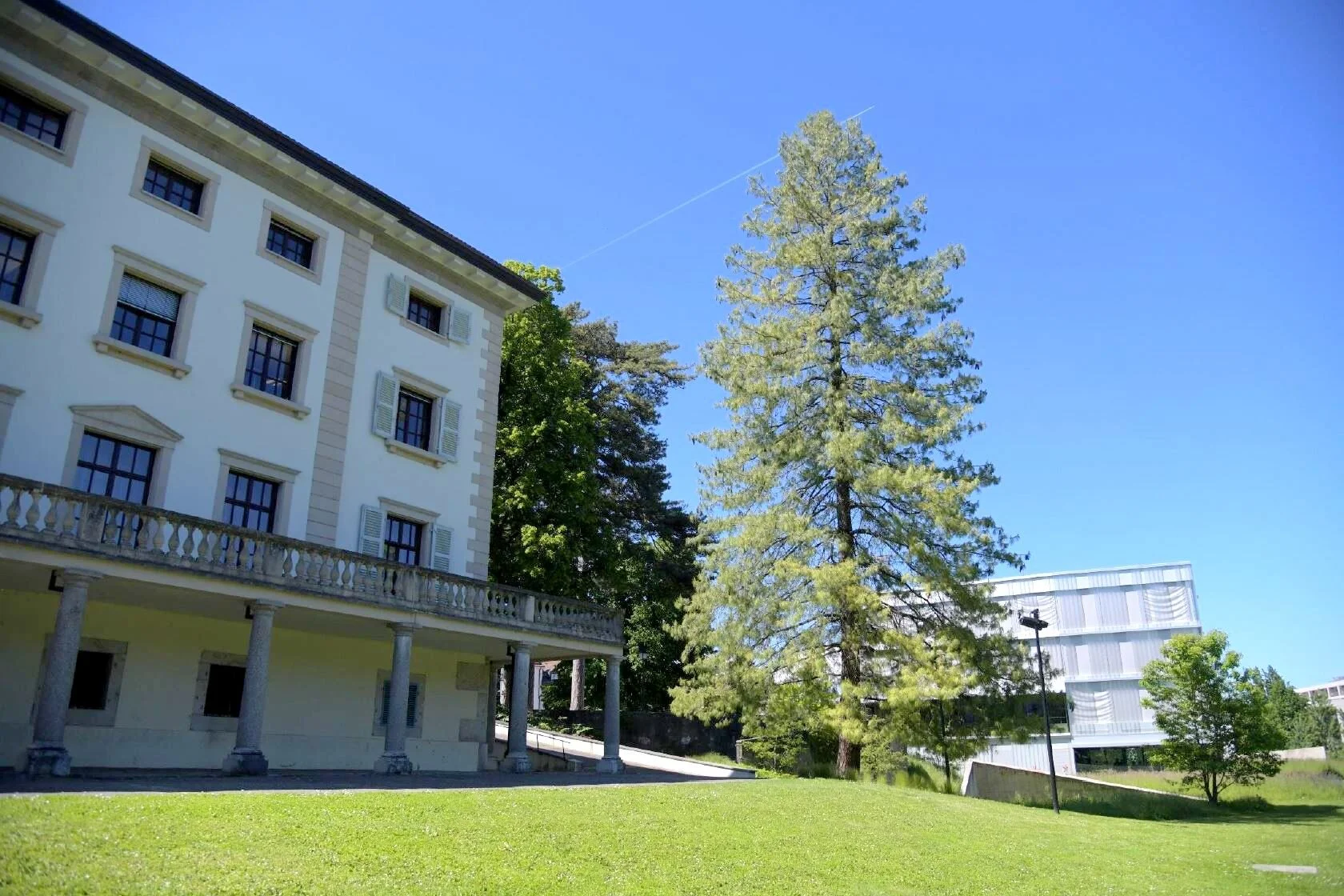 Un arbre - Une commune